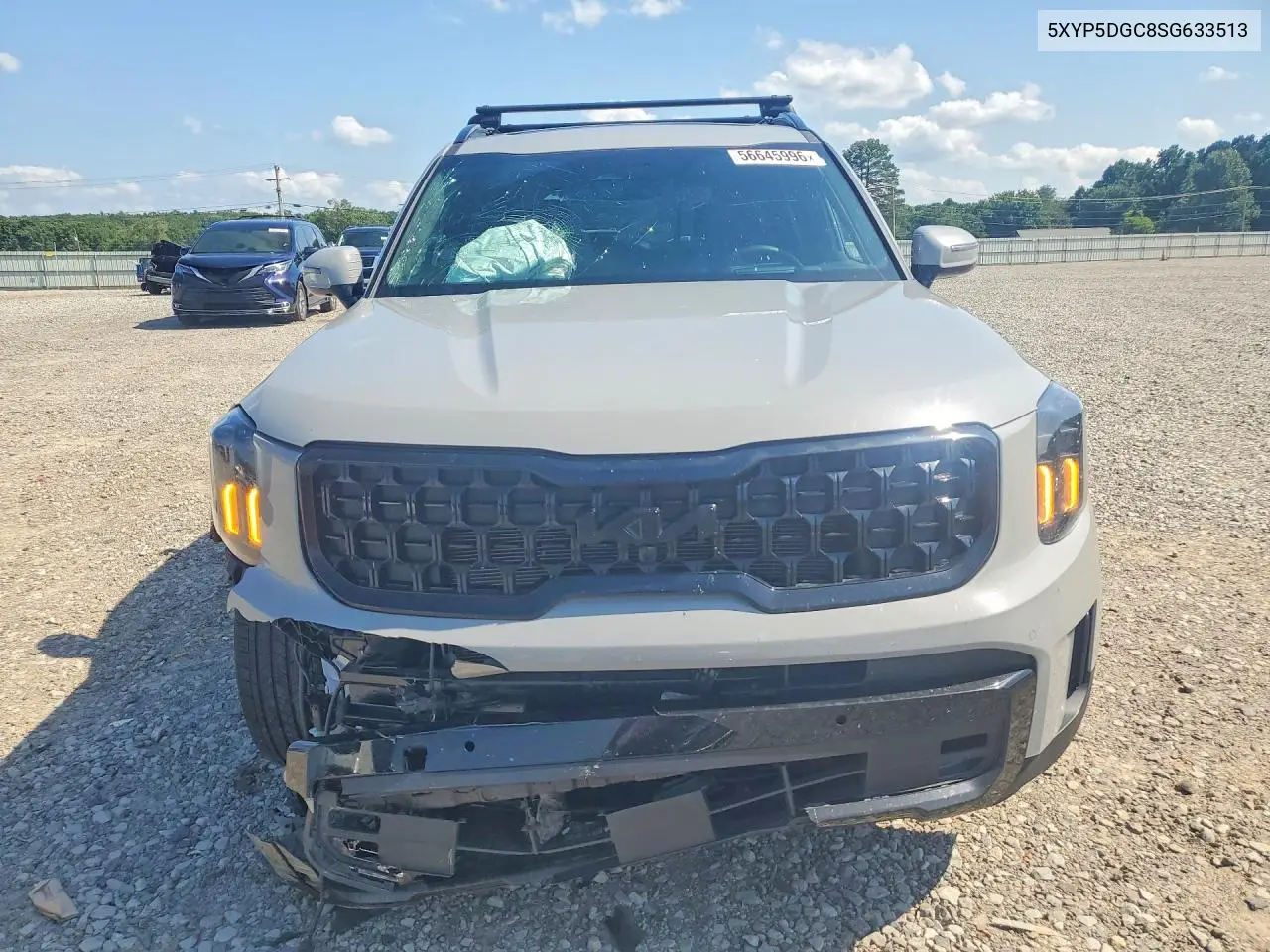 2025 Kia Telluride Sx-Prestige X-Line VIN: 5XYP5DGC8SG633513 Lot: 56645996