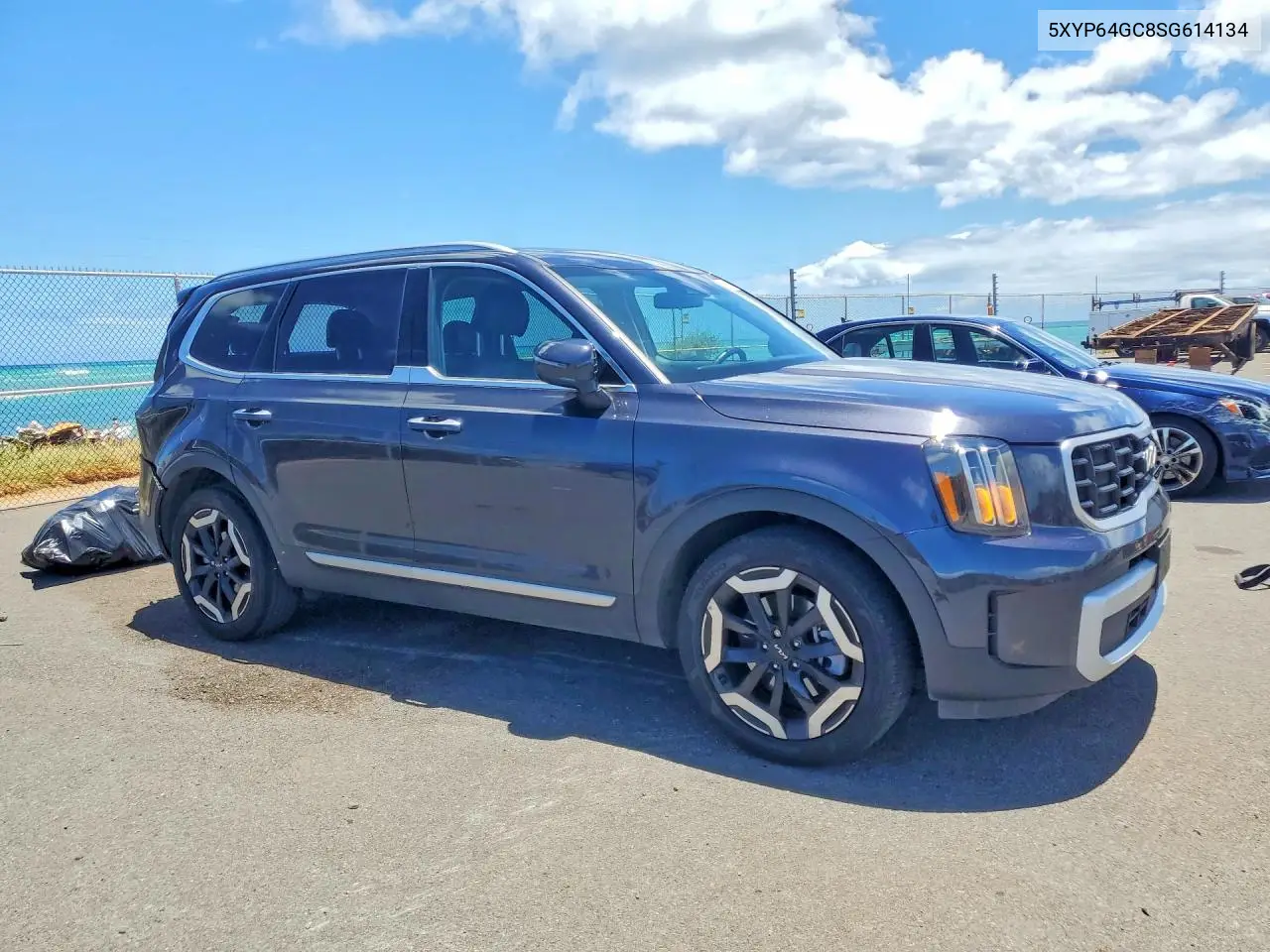 2025 Kia Telluride S VIN: 5XYP64GC8SG614134 Lot: 56870686
