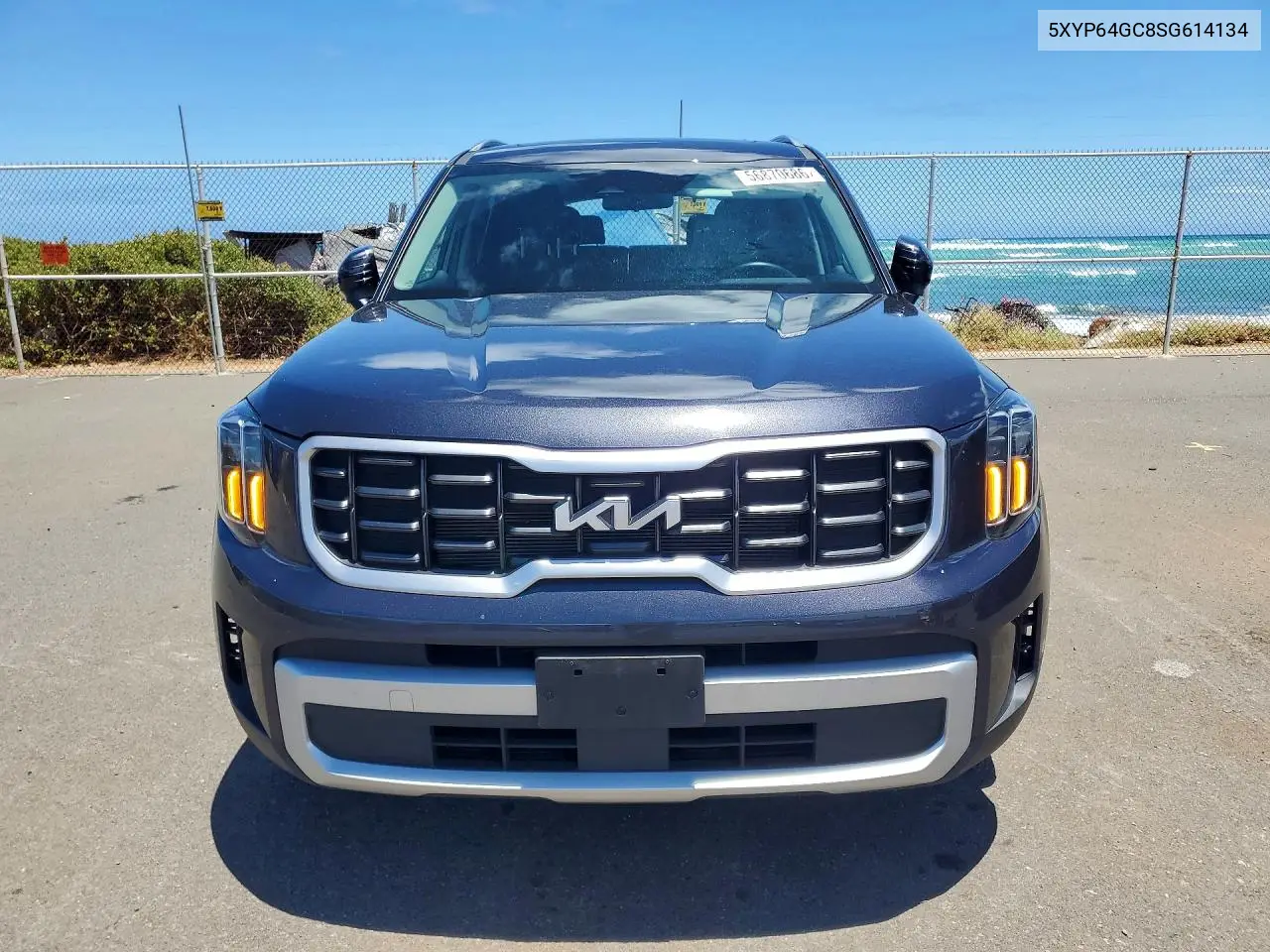 2025 Kia Telluride S VIN: 5XYP64GC8SG614134 Lot: 56870686