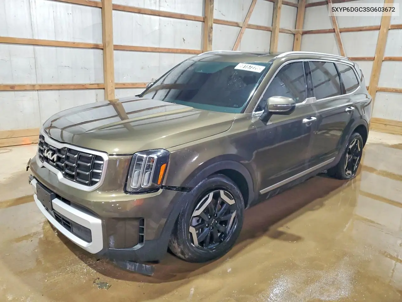 2025 Kia Telluride S VIN: 5XYP6DGC3SG603672 Lot: 59157226
