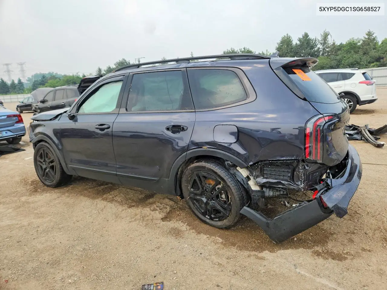 2025 Kia Telluride Sx-Prestige X-Line VIN: 5XYP5DGC1SG658527 Lot: 59348826