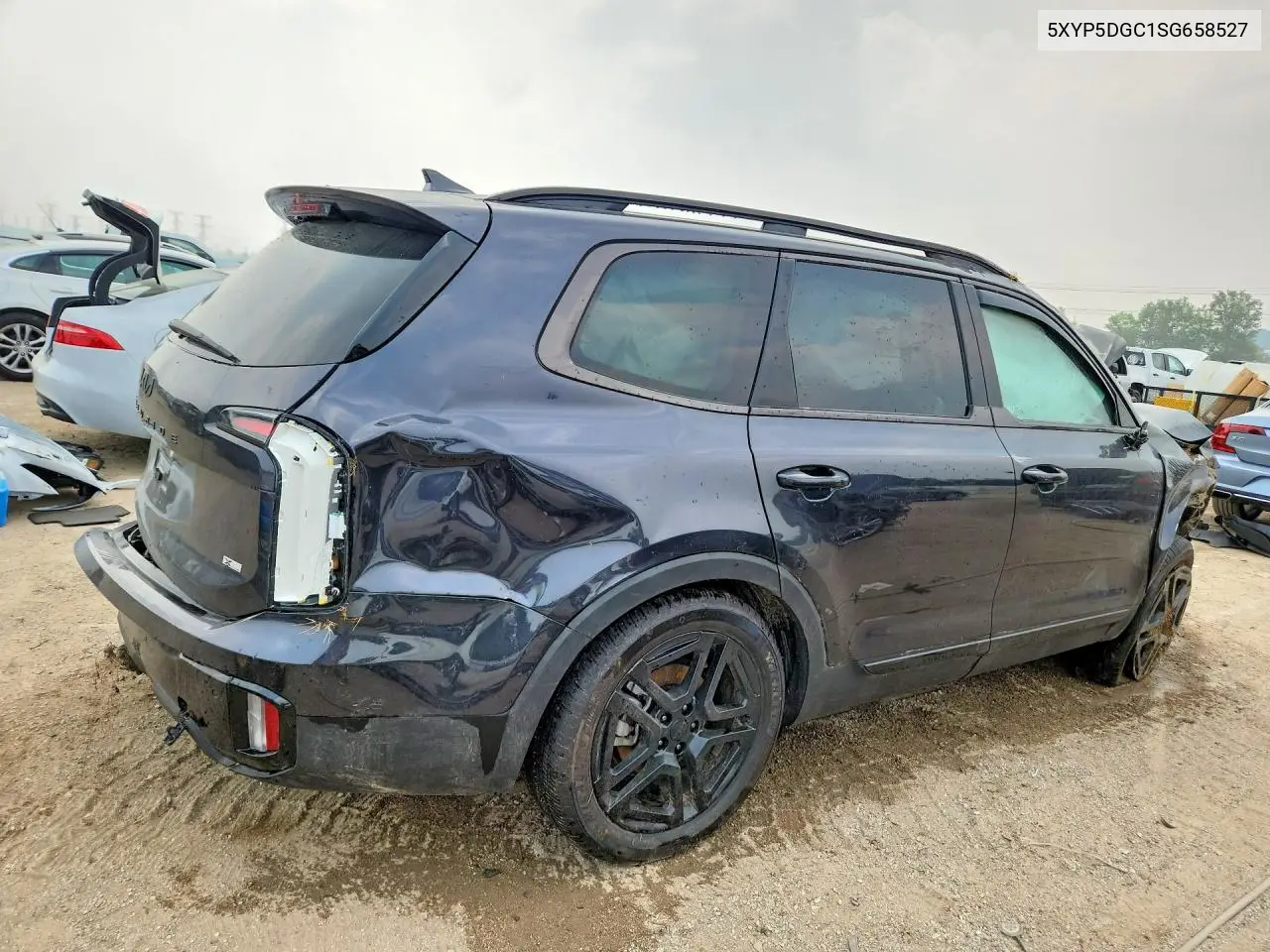 2025 Kia Telluride Sx-Prestige X-Line VIN: 5XYP5DGC1SG658527 Lot: 59348826