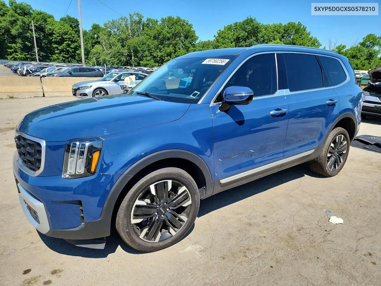 2025 Kia Telluride Sx VIN: 5XYP5DGCXSG578210 Lot: 59780256