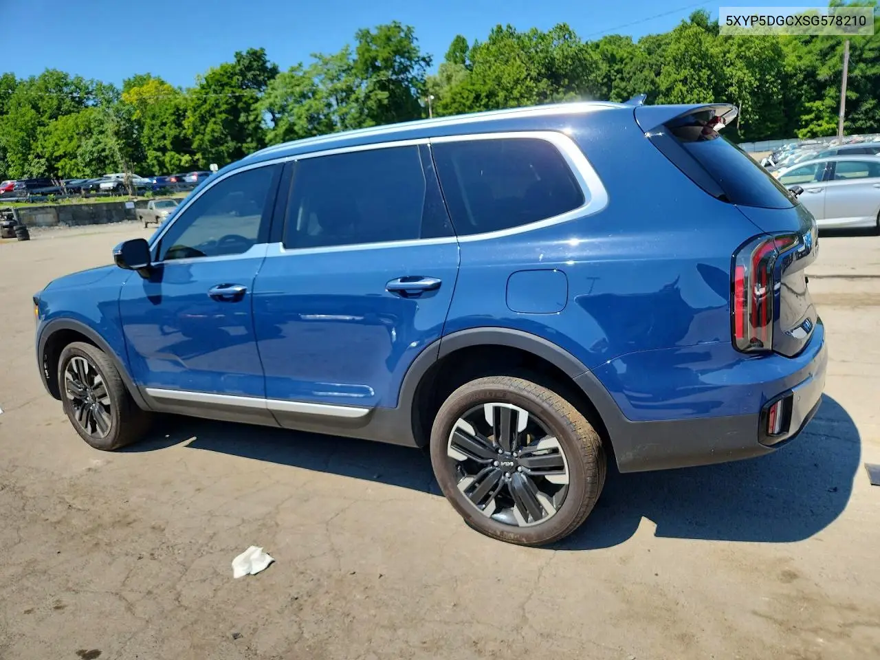 2025 Kia Telluride Sx VIN: 5XYP5DGCXSG578210 Lot: 59780256