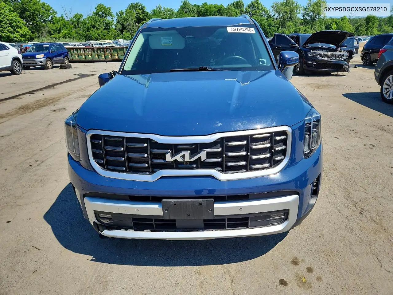 2025 Kia Telluride Sx VIN: 5XYP5DGCXSG578210 Lot: 59780256