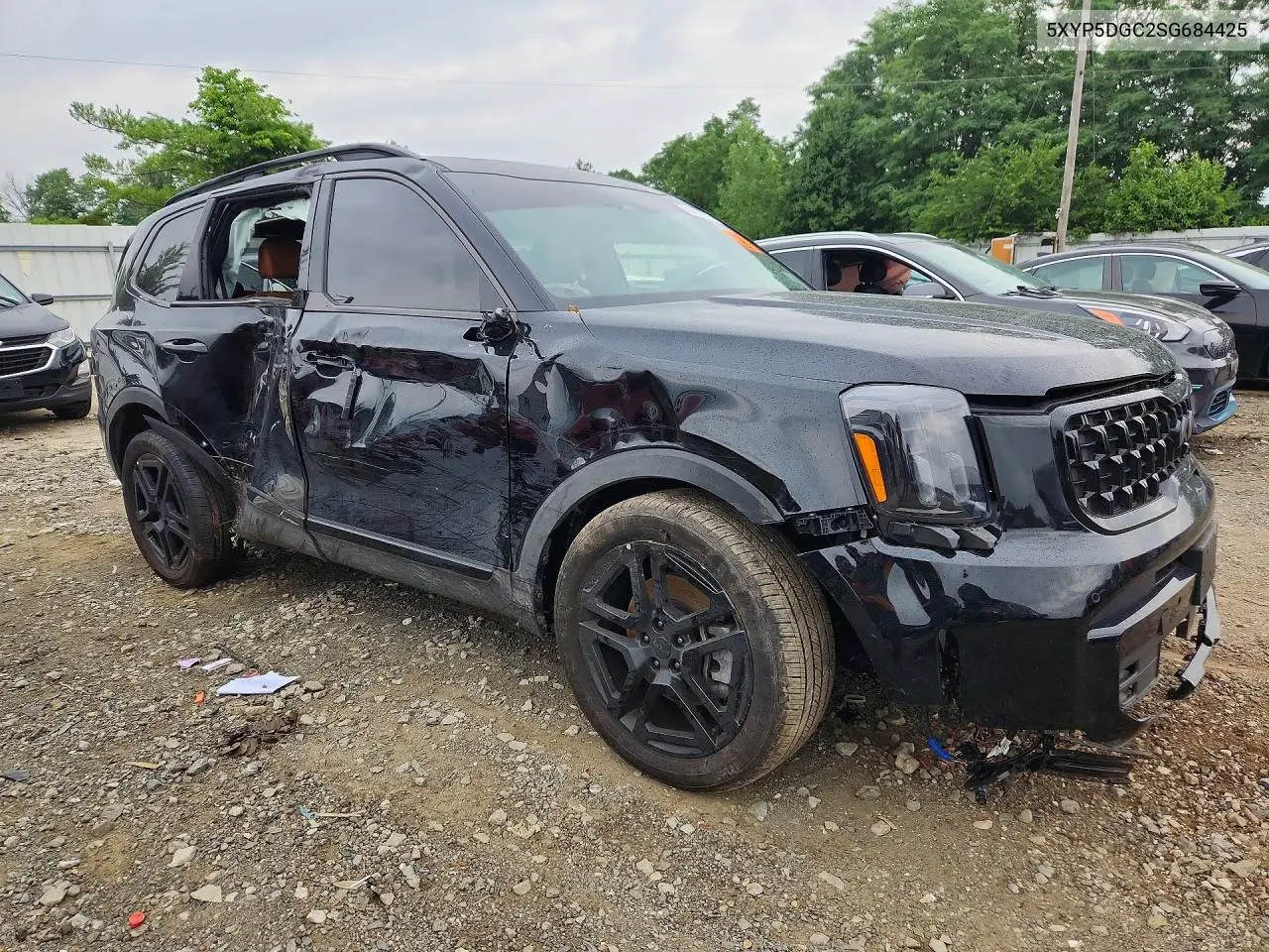 2025 Kia Telluride Sx-Prestige X-Line VIN: 5XYP5DGC2SG684425 Lot: 60321276