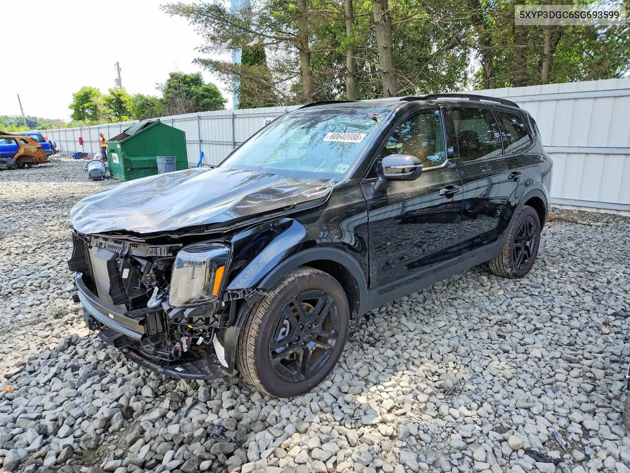 2025 Kia Telluride Ex X-Line VIN: 5XYP3DGC6SG693599 Lot: 60640986