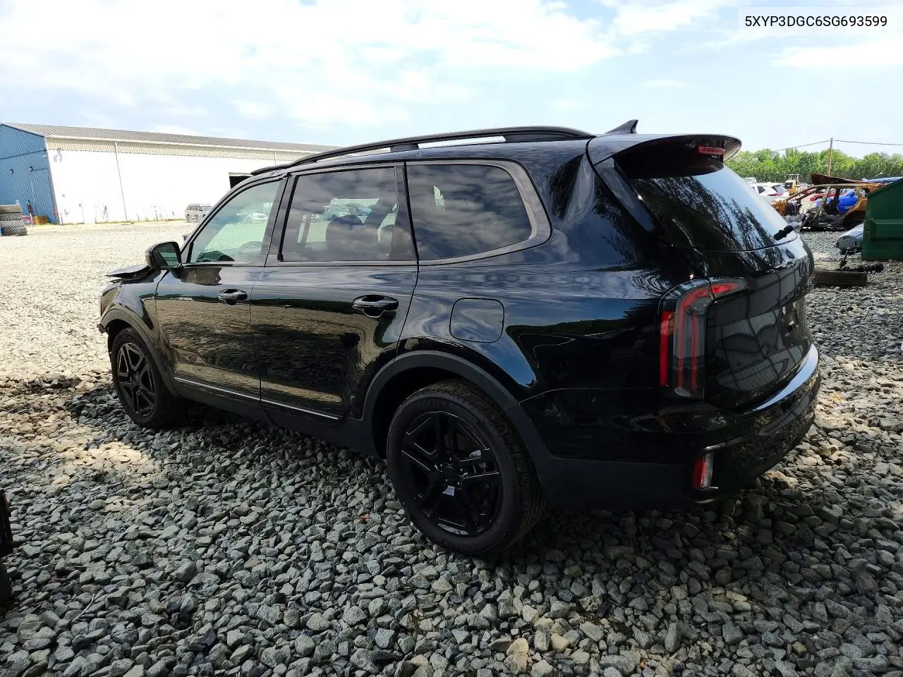 2025 Kia Telluride Ex X-Line VIN: 5XYP3DGC6SG693599 Lot: 60640986