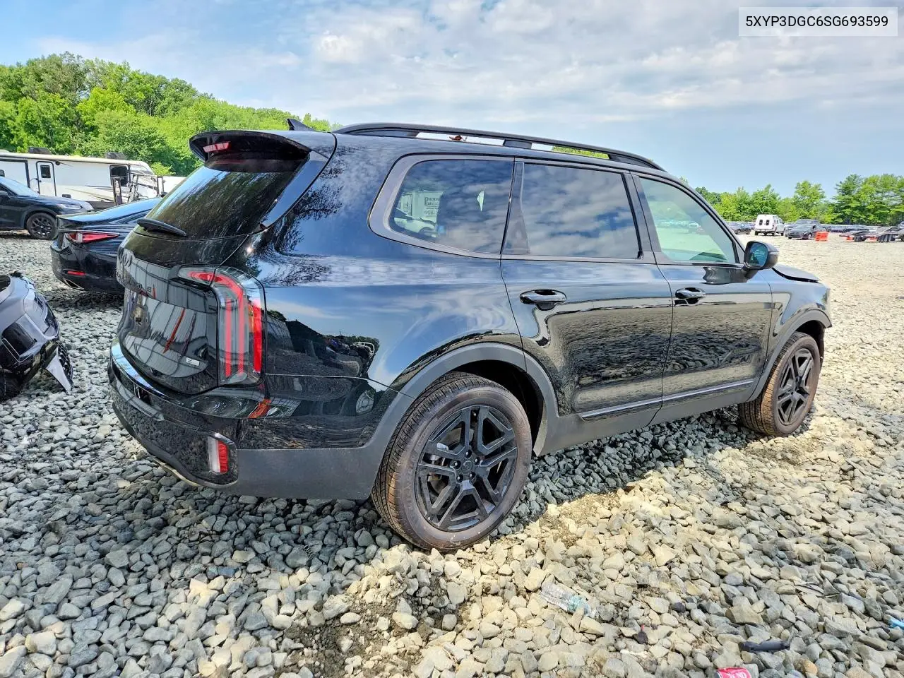 2025 Kia Telluride Ex X-Line VIN: 5XYP3DGC6SG693599 Lot: 60640986
