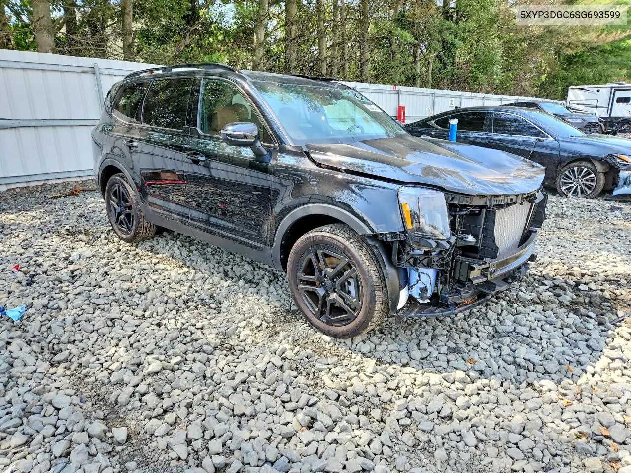 2025 Kia Telluride Ex X-Line VIN: 5XYP3DGC6SG693599 Lot: 60640986