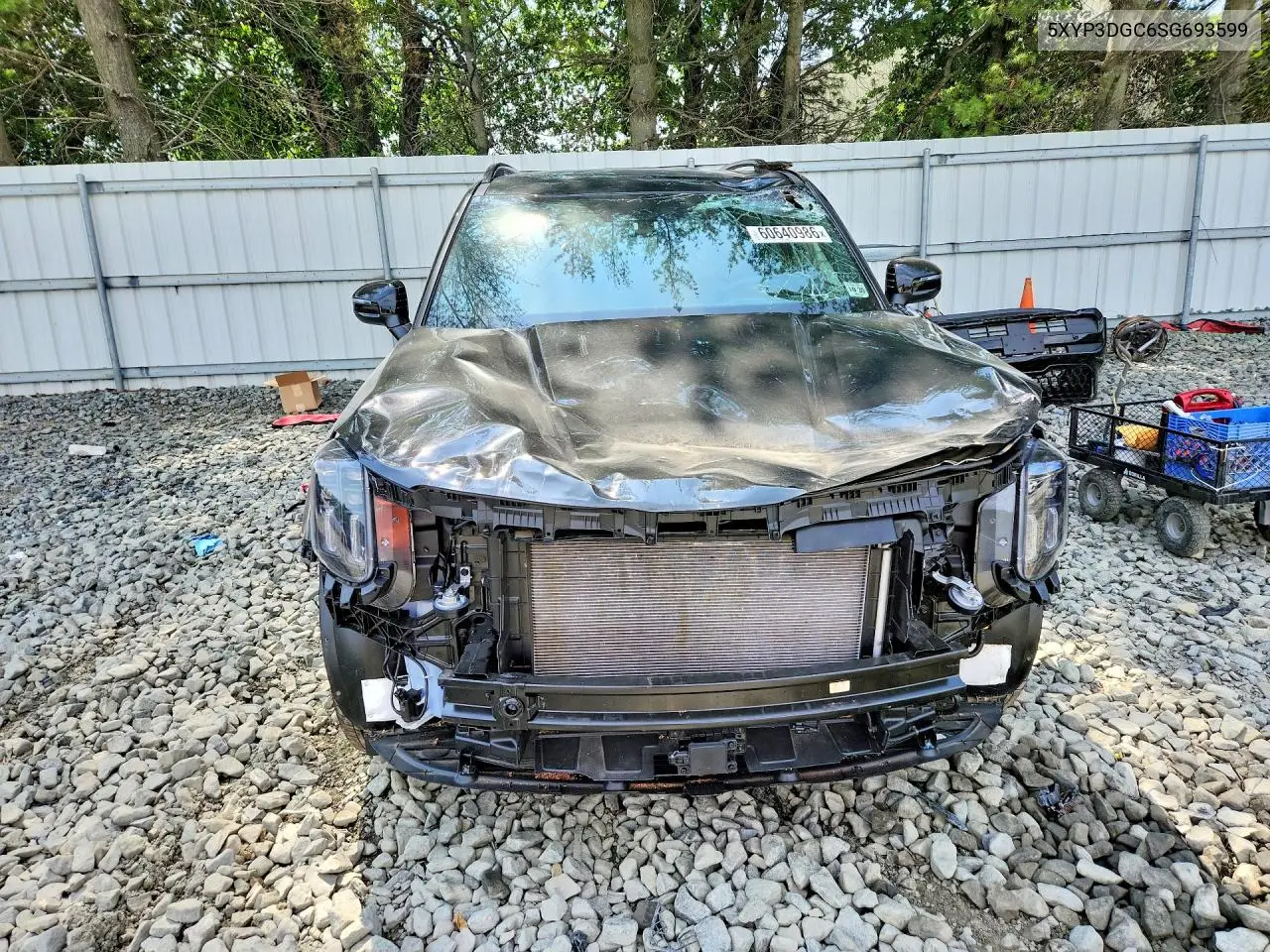 2025 Kia Telluride Ex X-Line VIN: 5XYP3DGC6SG693599 Lot: 60640986