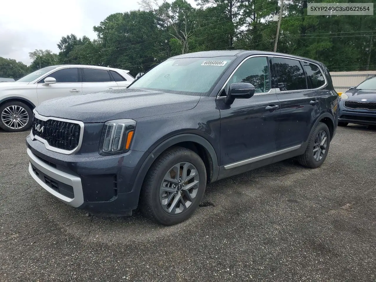 2025 Kia Telluride Lx VIN: 5XYP24GC3SG622654 Lot: 60860886