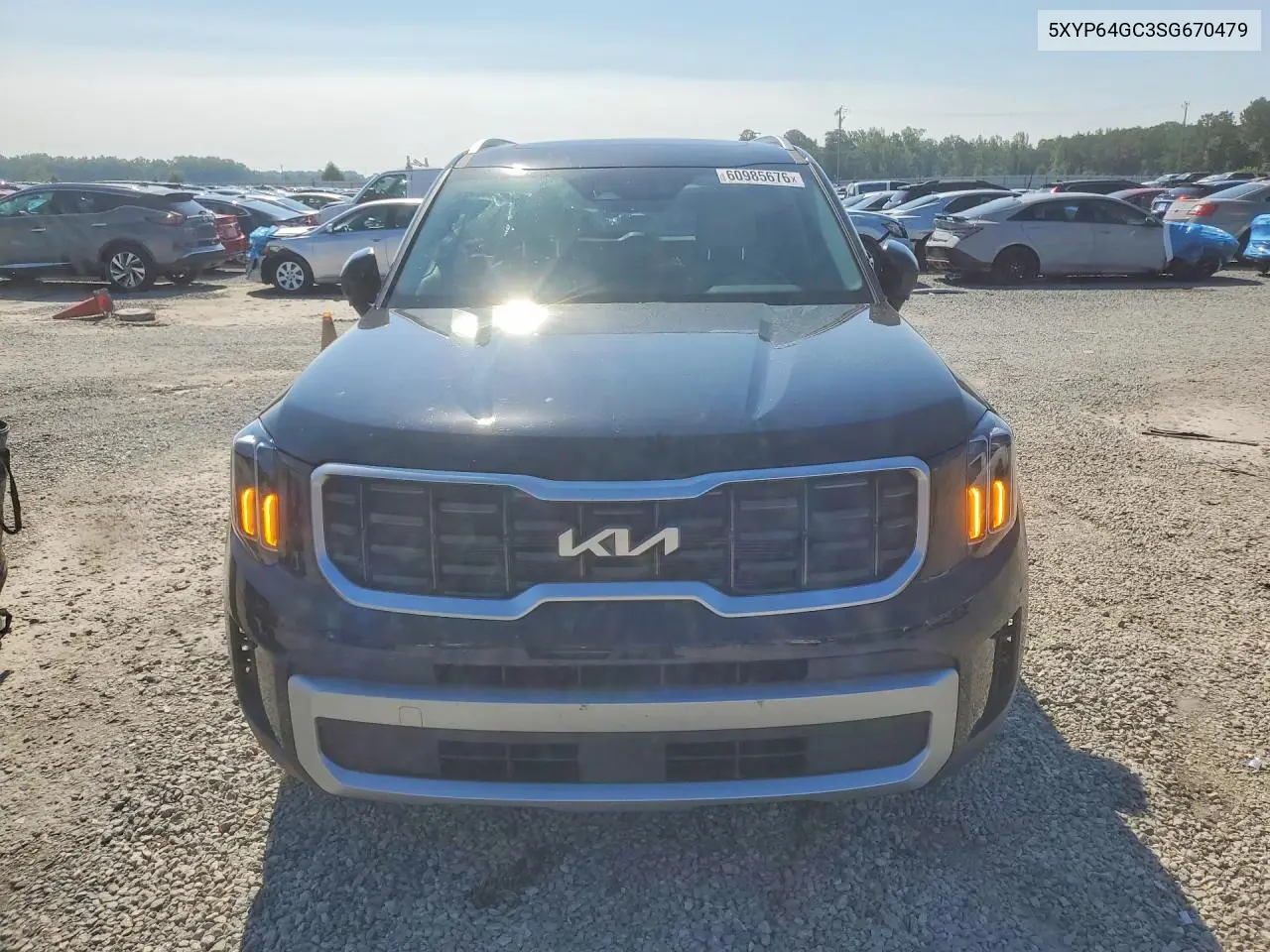 2025 Kia Telluride S VIN: 5XYP64GC3SG670479 Lot: 60985676