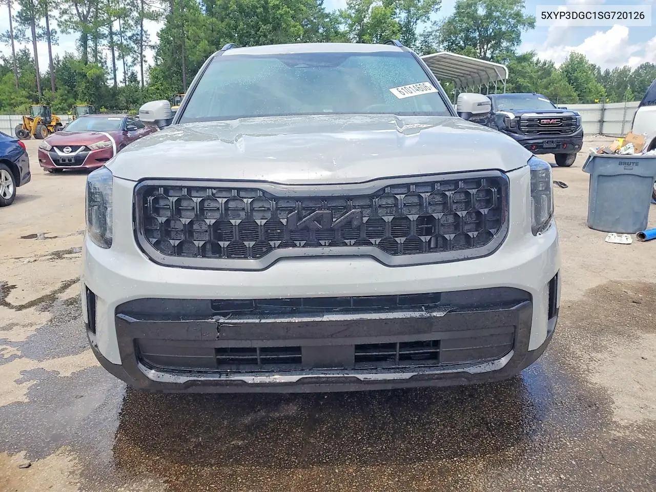 2025 Kia Telluride Ex X-Line VIN: 5XYP3DGC1SG720126 Lot: 61014606