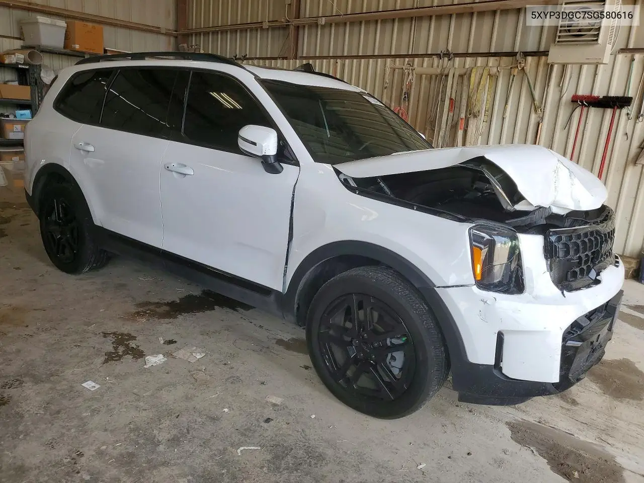2025 Kia Telluride Ex X-Line VIN: 5XYP3DGC7SG580616 Lot: 61300426