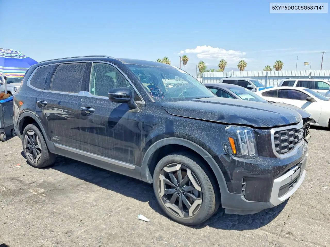 2025 Kia Telluride S VIN: 5XYP6DGC0SG587141 Lot: 61381586