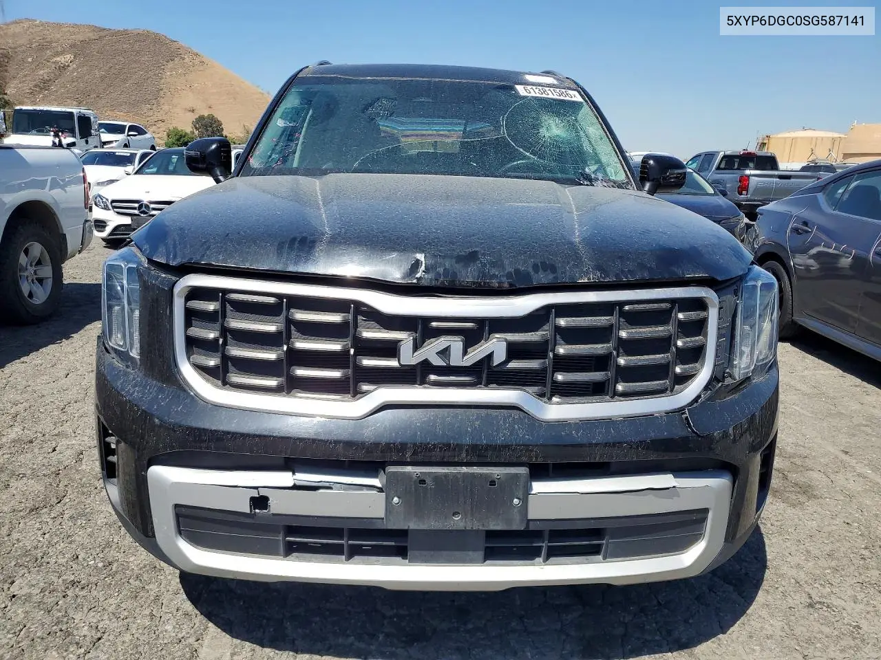 2025 Kia Telluride S VIN: 5XYP6DGC0SG587141 Lot: 61381586