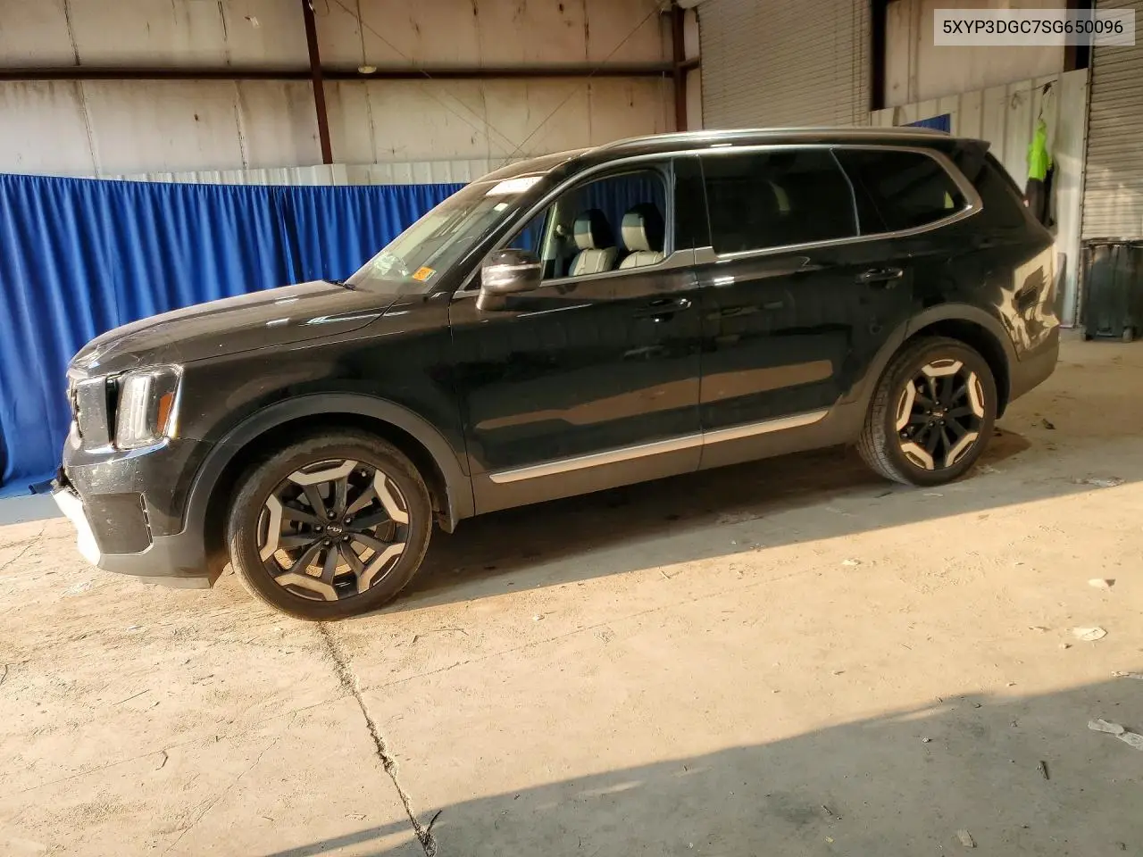 2025 Kia Telluride Ex VIN: 5XYP3DGC7SG650096 Lot: 61413096