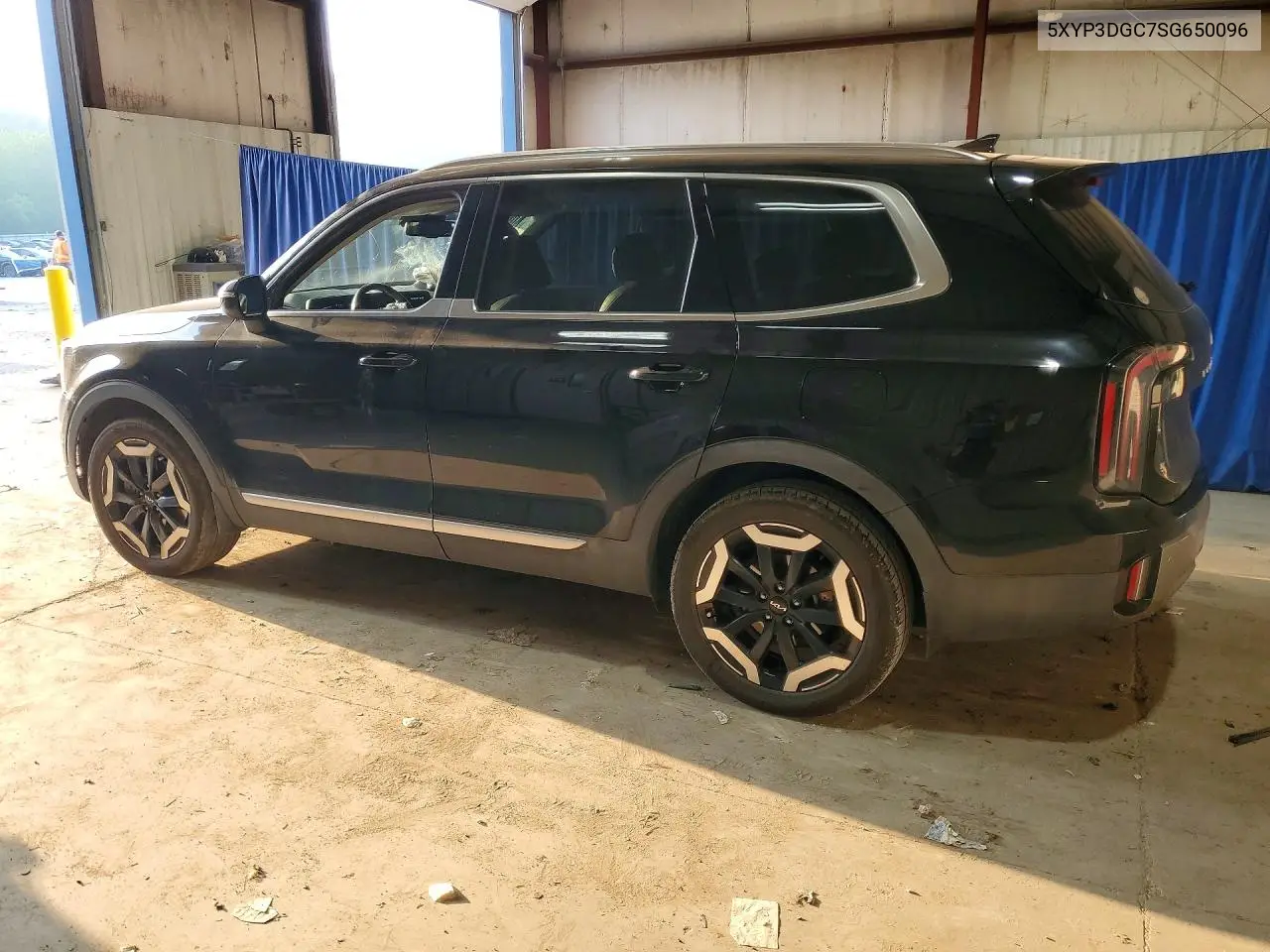 2025 Kia Telluride Ex VIN: 5XYP3DGC7SG650096 Lot: 61413096