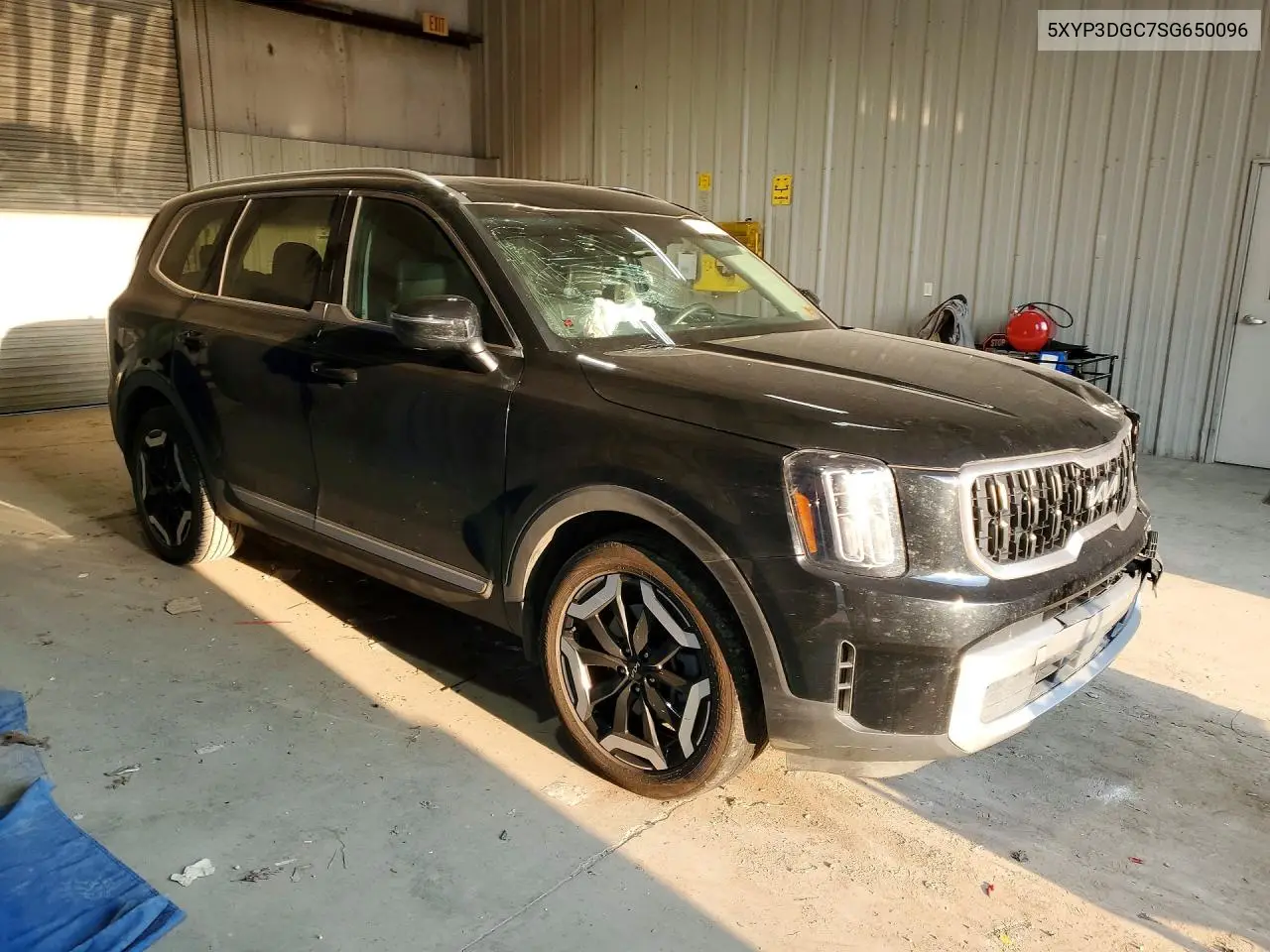 2025 Kia Telluride Ex VIN: 5XYP3DGC7SG650096 Lot: 61413096