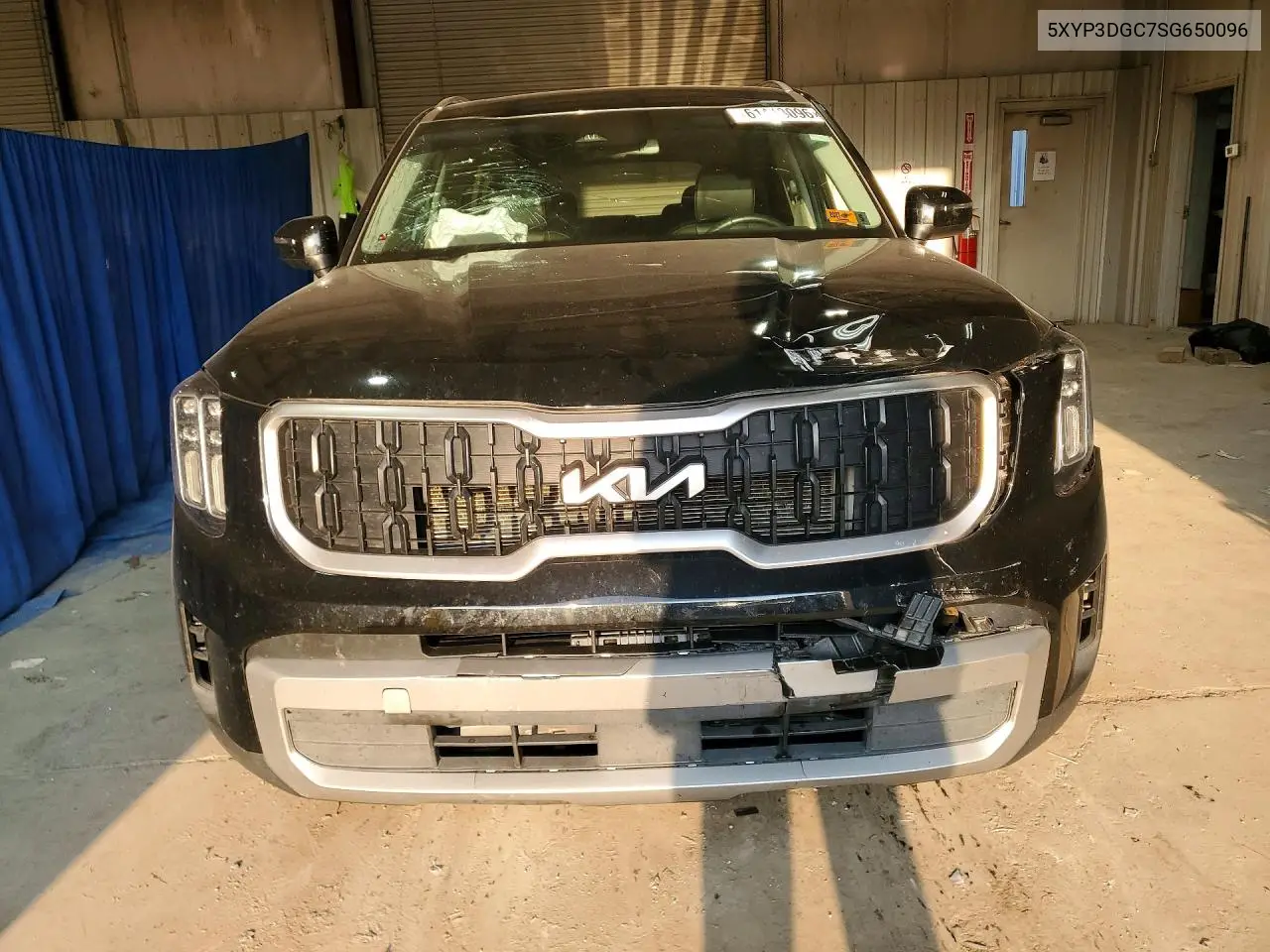 2025 Kia Telluride Ex VIN: 5XYP3DGC7SG650096 Lot: 61413096