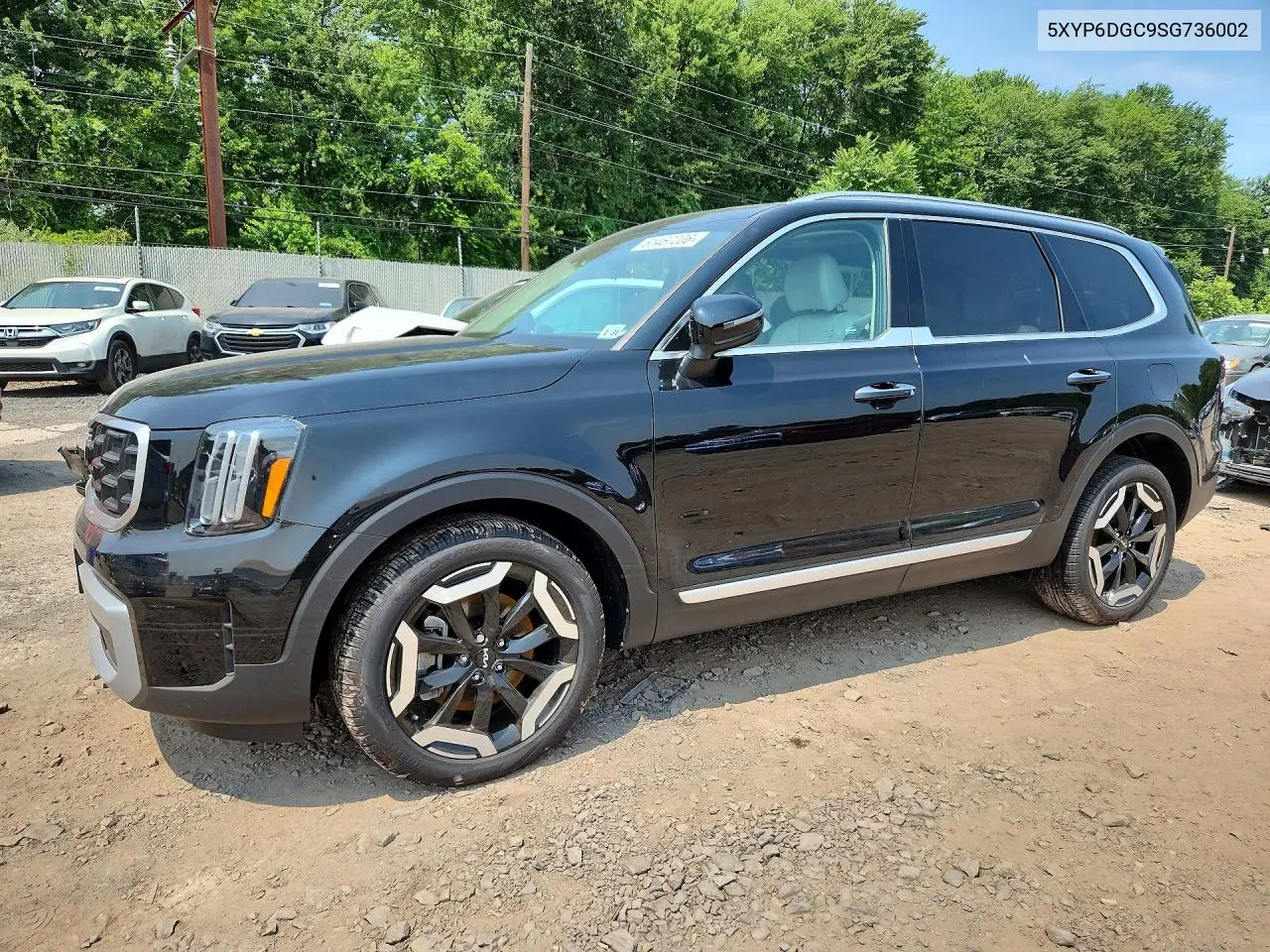 2025 Kia Telluride S VIN: 5XYP6DGC9SG736002 Lot: 61467206