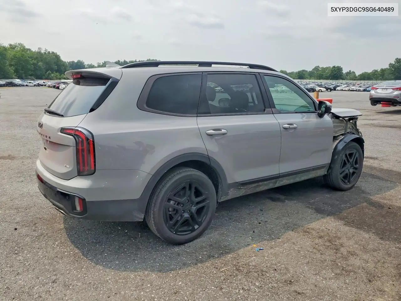 2025 Kia Telluride Ex X-Line VIN: 5XYP3DGC9SG640489 Lot: 61490636
