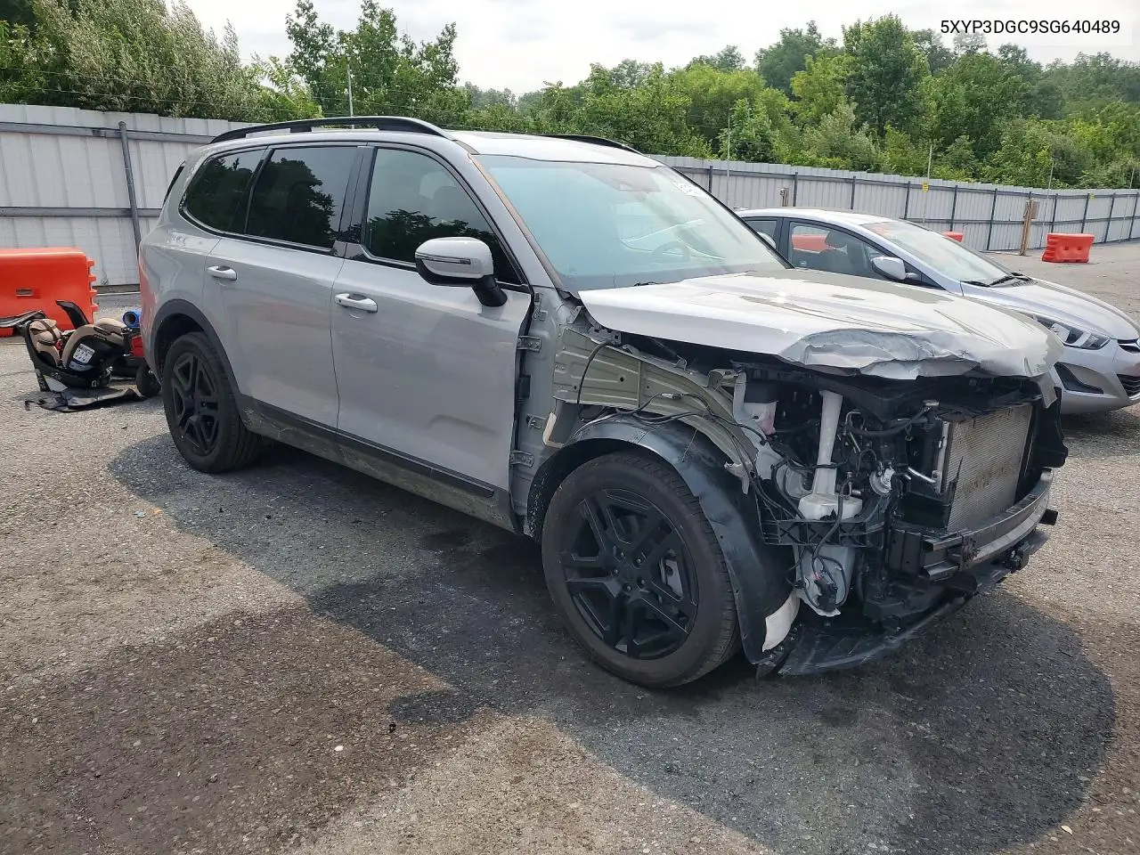2025 Kia Telluride Ex X-Line VIN: 5XYP3DGC9SG640489 Lot: 61490636