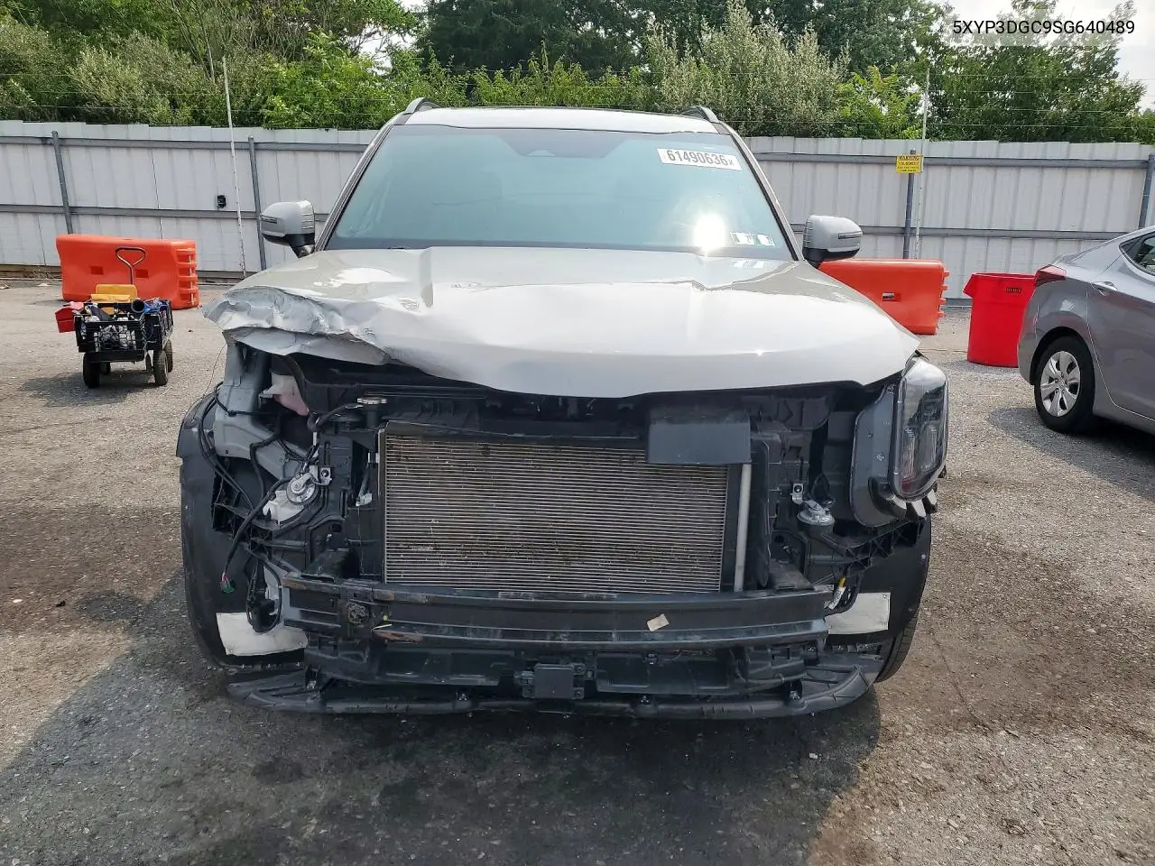 2025 Kia Telluride Ex X-Line VIN: 5XYP3DGC9SG640489 Lot: 61490636