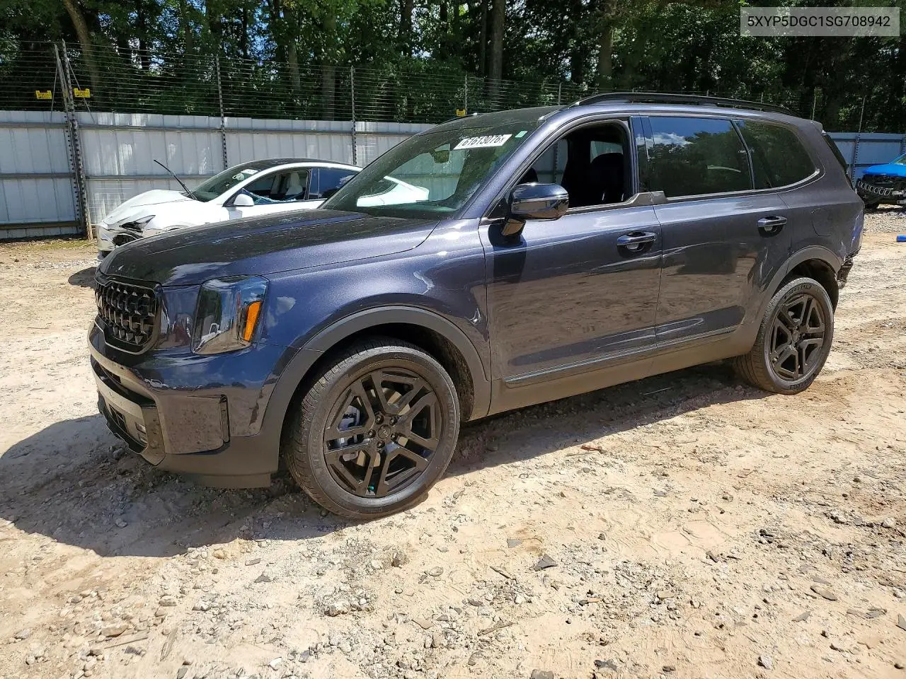 2025 Kia Telluride Sx X-Line VIN: 5XYP5DGC1SG708942 Lot: 61613076