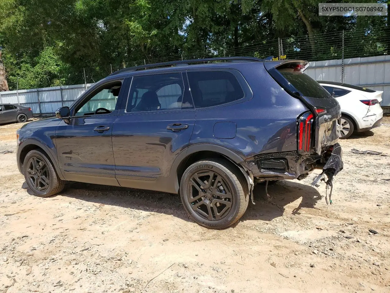 2025 Kia Telluride Sx X-Line VIN: 5XYP5DGC1SG708942 Lot: 61613076
