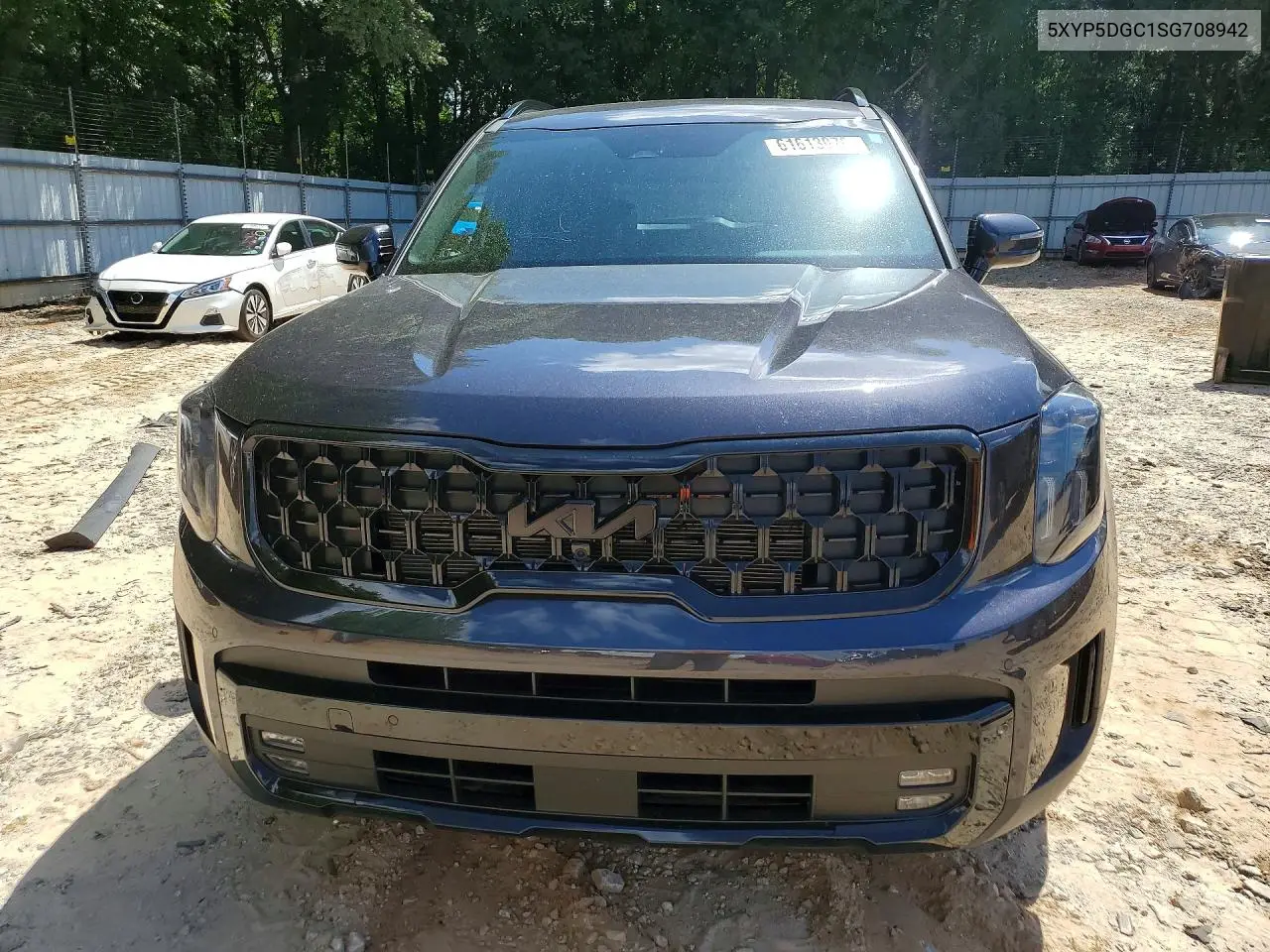 2025 Kia Telluride Sx X-Line VIN: 5XYP5DGC1SG708942 Lot: 61613076
