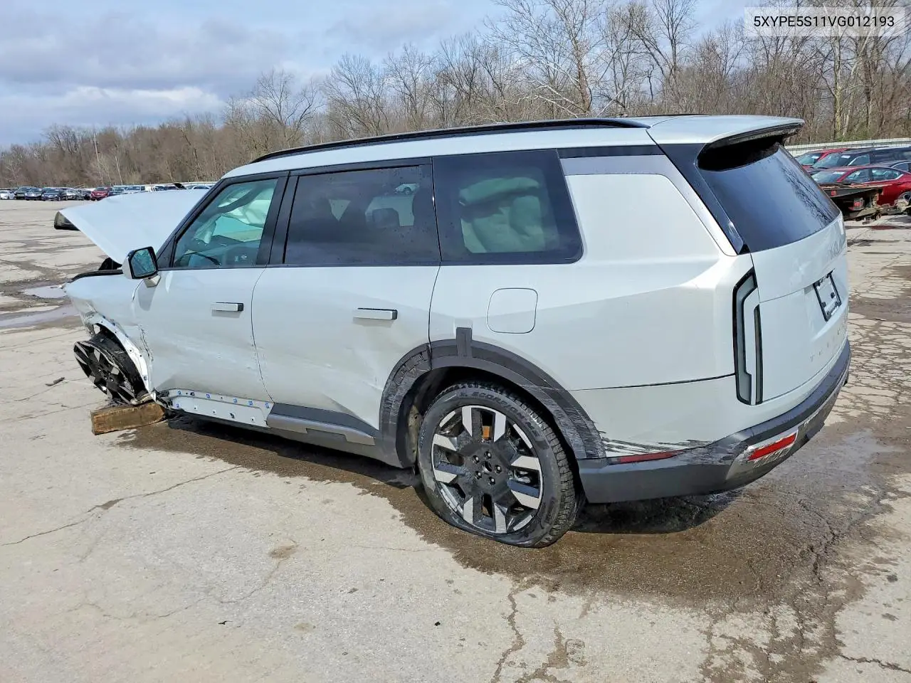 2027 Kia Telluride S VIN: 5XYPE5S11VG012193 Lot: 48570106