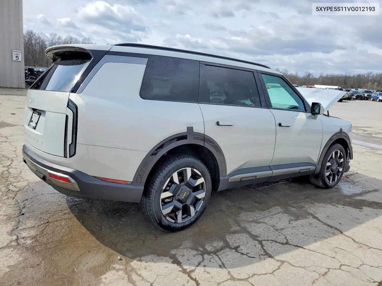2027 Kia Telluride S VIN: 5XYPE5S11VG012193 Lot: 48570106