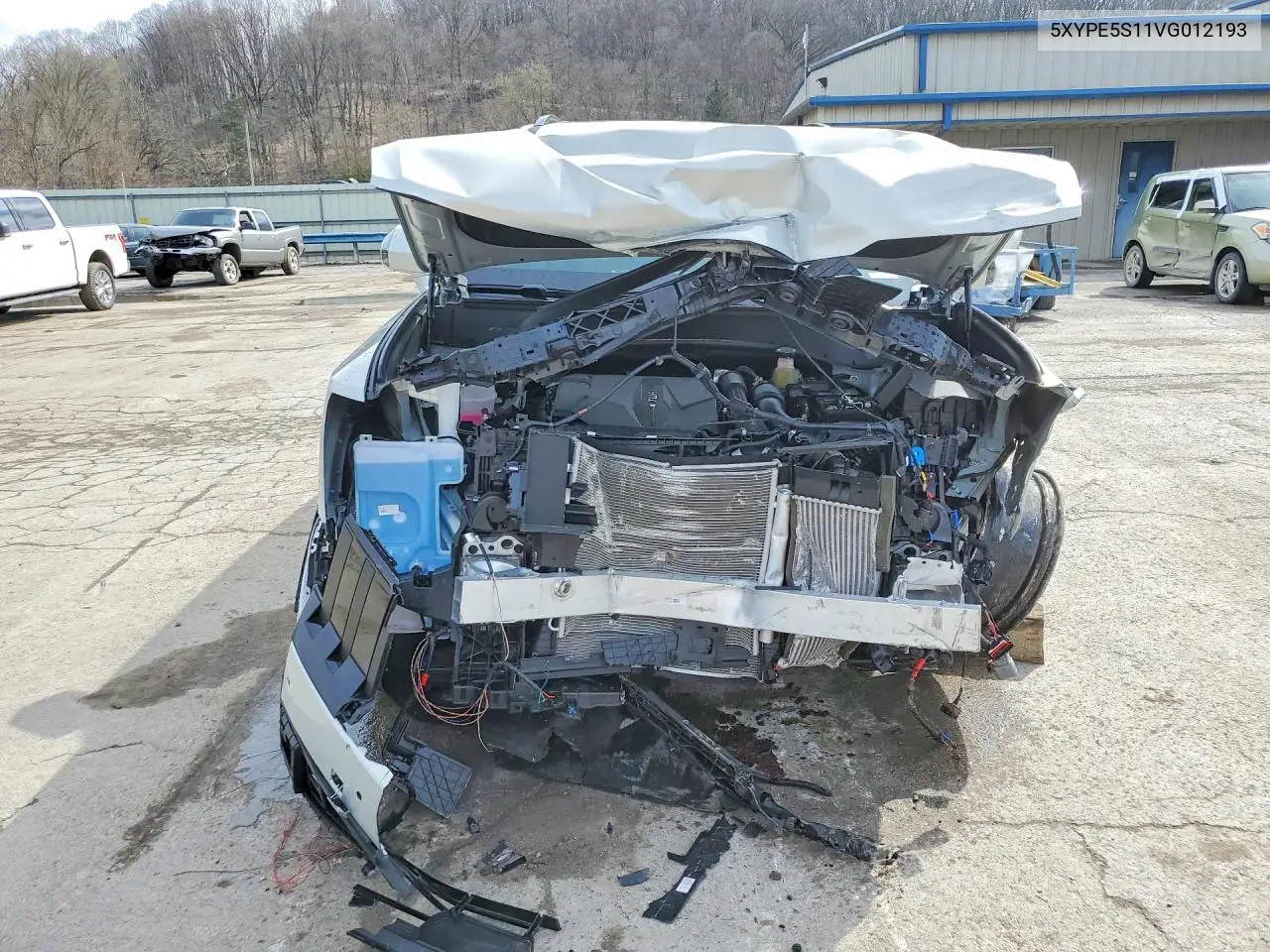2027 Kia Telluride S VIN: 5XYPE5S11VG012193 Lot: 48570106