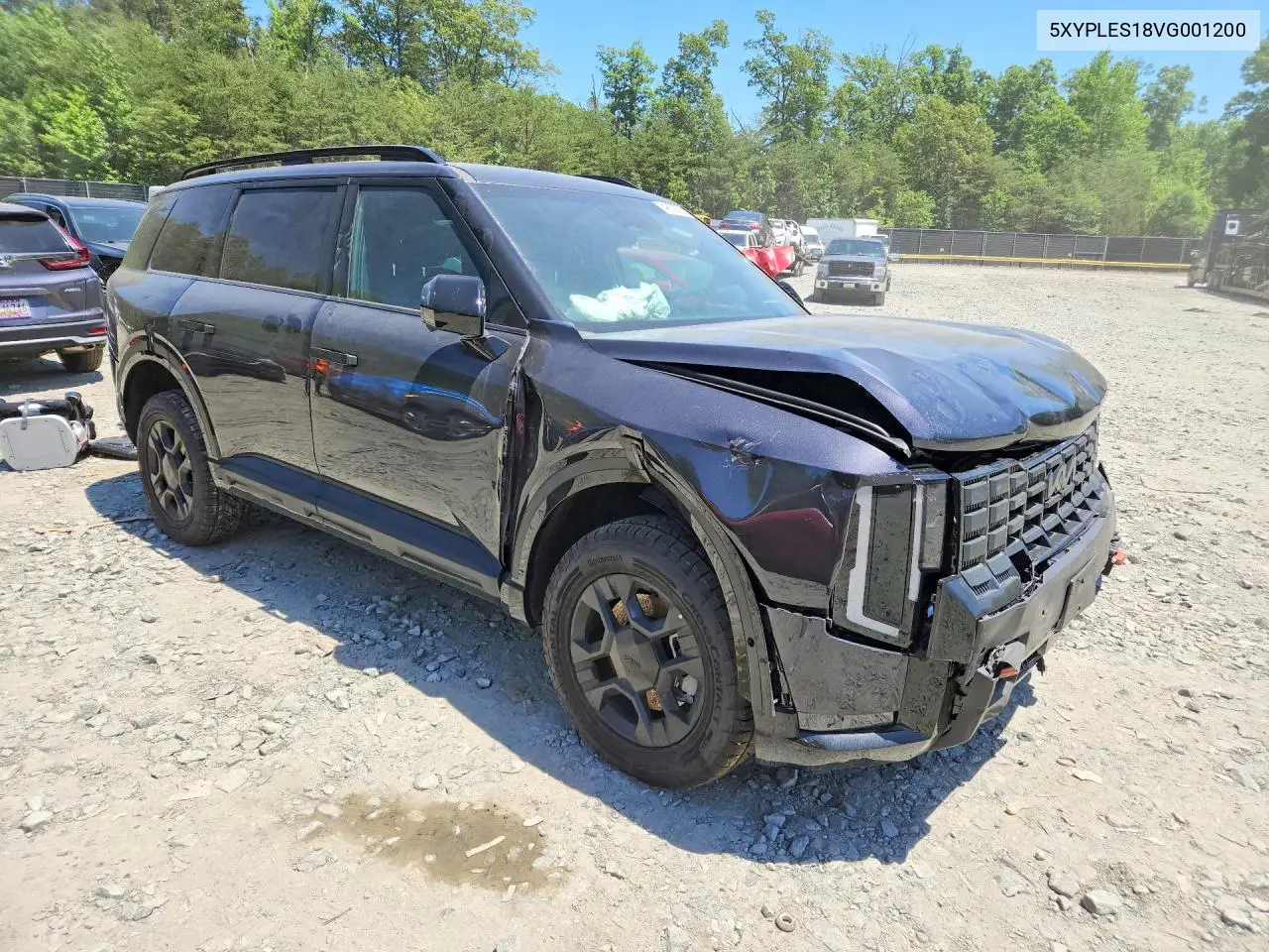 2027 Kia Telluride X-Pro Sx Prestige VIN: 5XYPLES18VG001200 Lot: 54852556