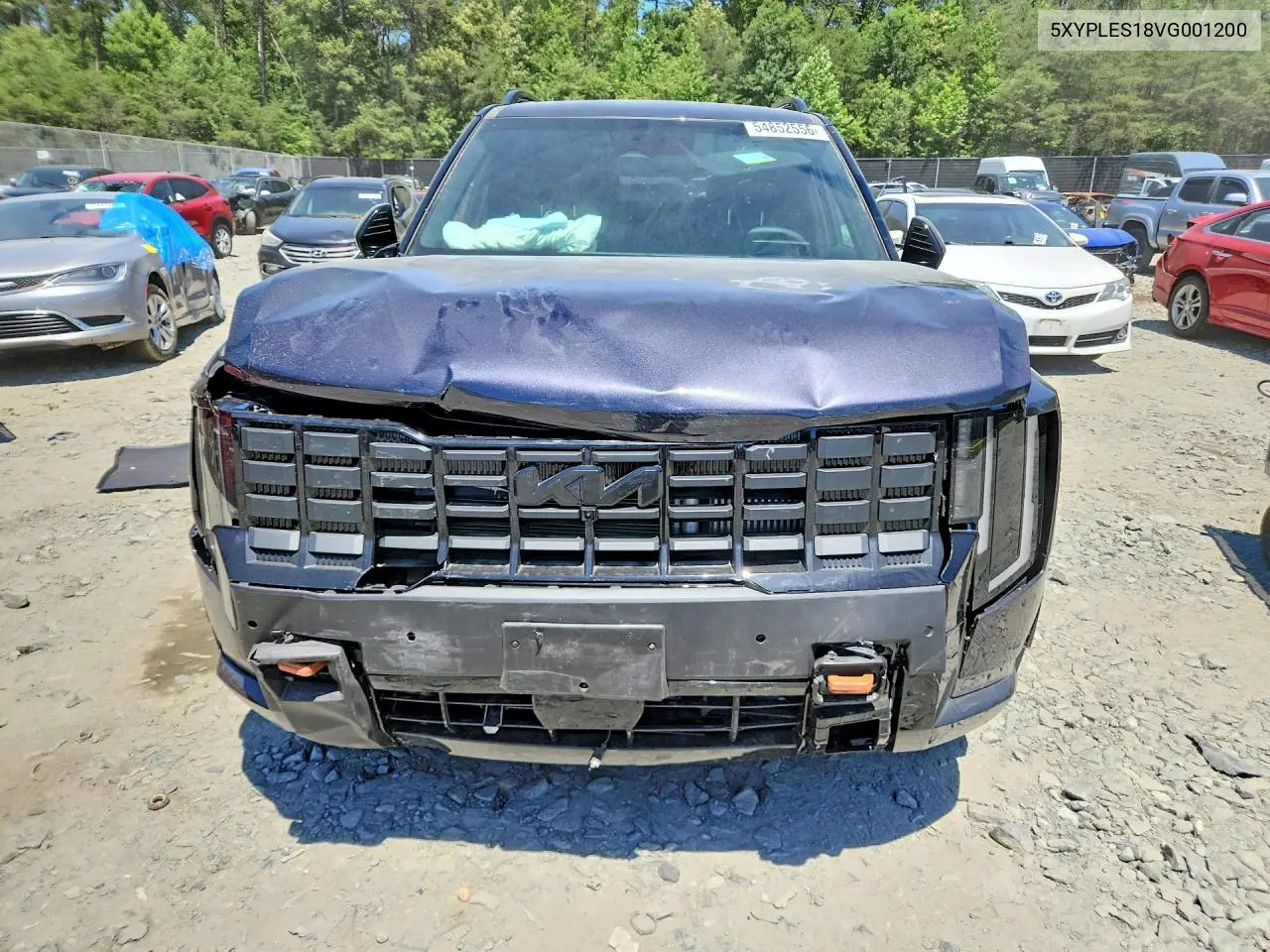 2027 Kia Telluride X-Pro Sx Prestige VIN: 5XYPLES18VG001200 Lot: 54852556