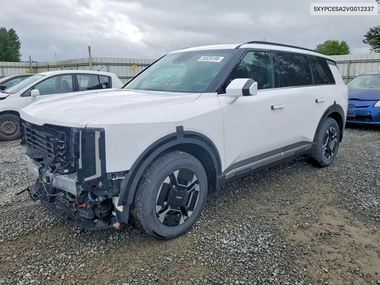 2027 Kia Telluride Ex VIN: 5XYPCESA2VG012337 Lot: 56539196