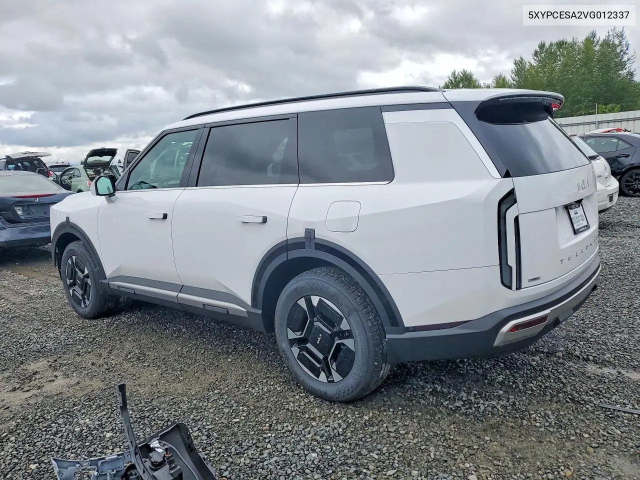 2027 Kia Telluride Ex VIN: 5XYPCESA2VG012337 Lot: 56539196