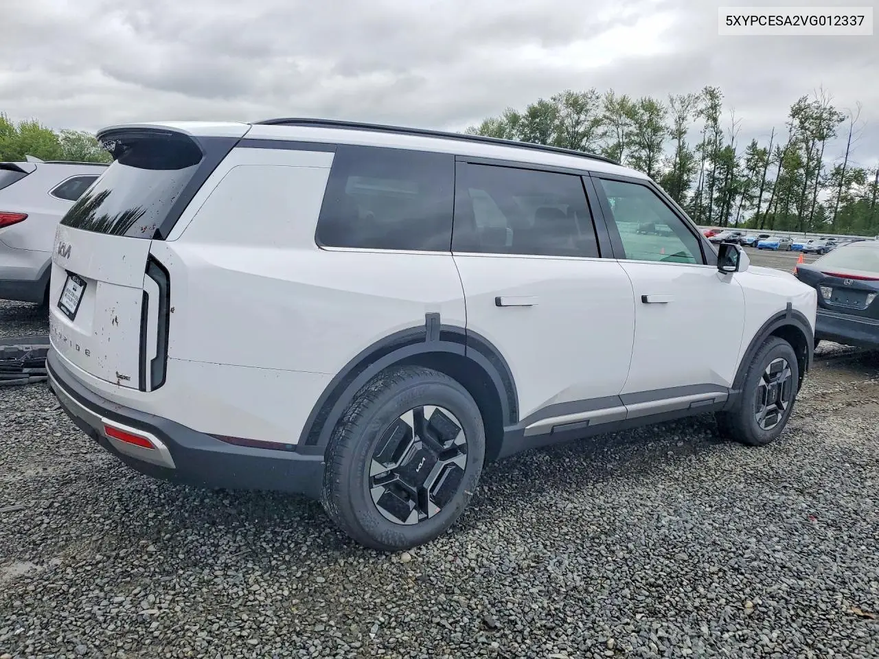 2027 Kia Telluride Ex VIN: 5XYPCESA2VG012337 Lot: 56539196
