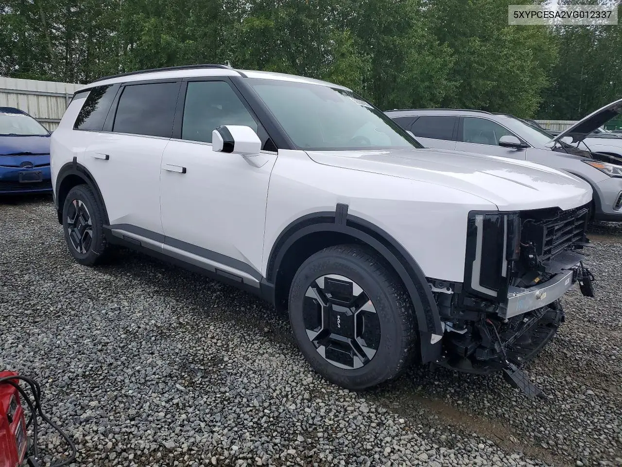 2027 Kia Telluride Ex VIN: 5XYPCESA2VG012337 Lot: 56539196