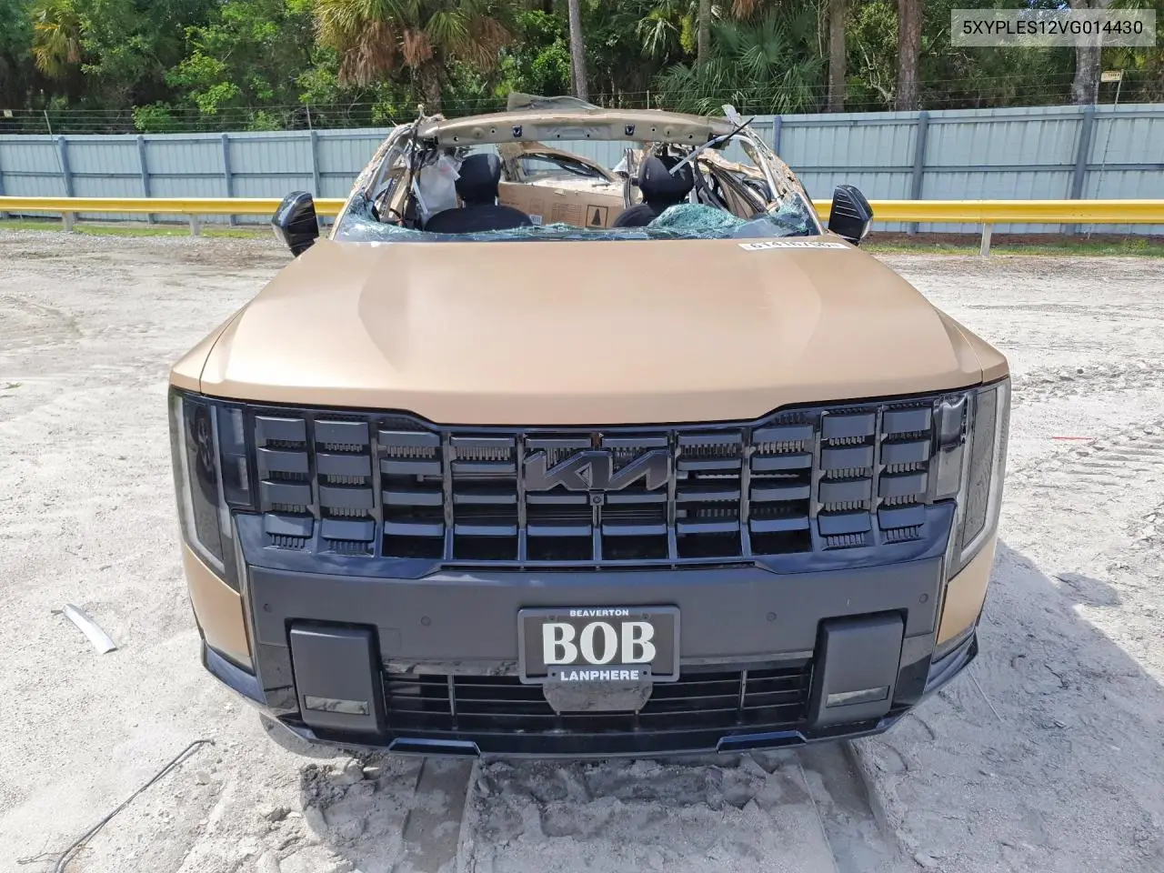 2027 Kia Telluride X-Line Sx Prestige VIN: 5XYPLES12VG014430 Lot: 61416756