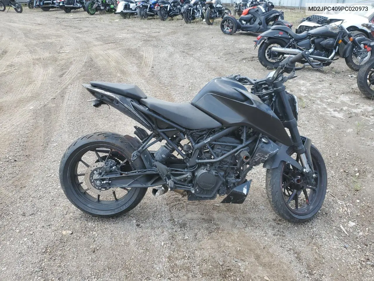 2023 Ktm 200 Duke VIN: MD2JPC409PC020973 Lot: 66382835