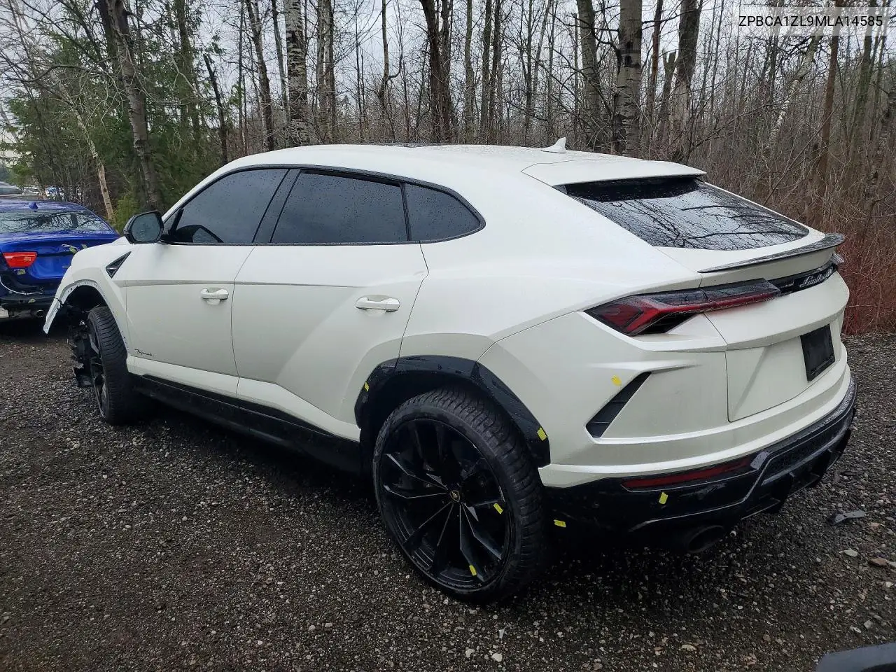 2021 Lamborghini Urus VIN: ZPBCA1ZL9MLA14585 Lot: 49971856