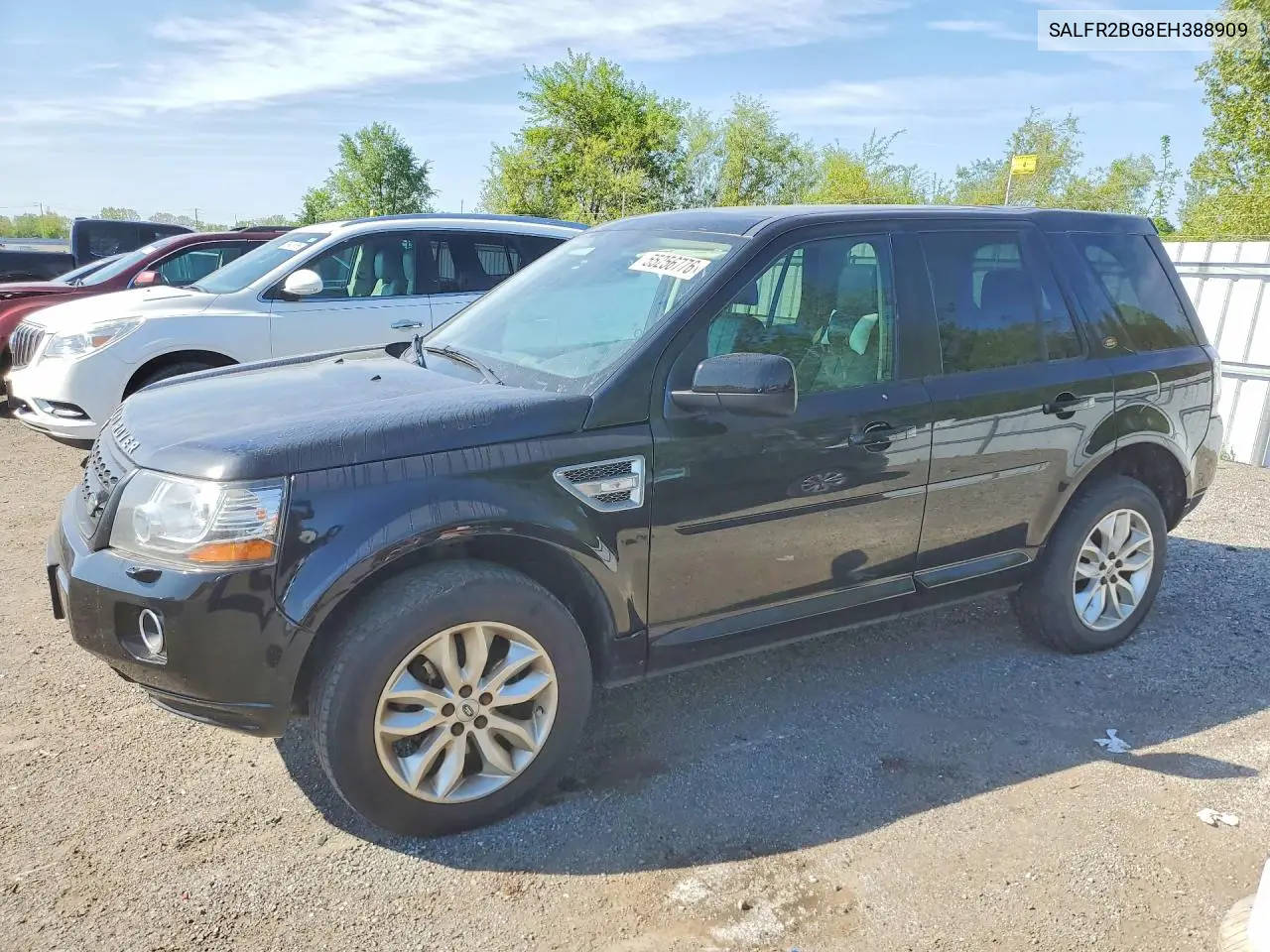 2014 Land Rover Lr2 Hse VIN: SALFR2BG8EH388909 Lot: 55256776