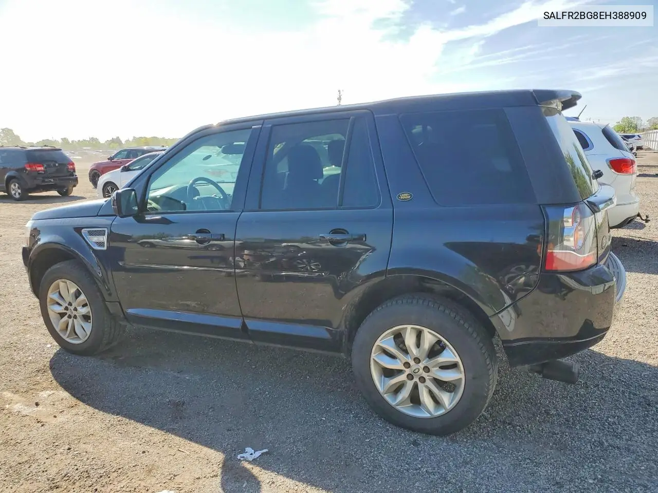 2014 Land Rover Lr2 Hse VIN: SALFR2BG8EH388909 Lot: 55256776