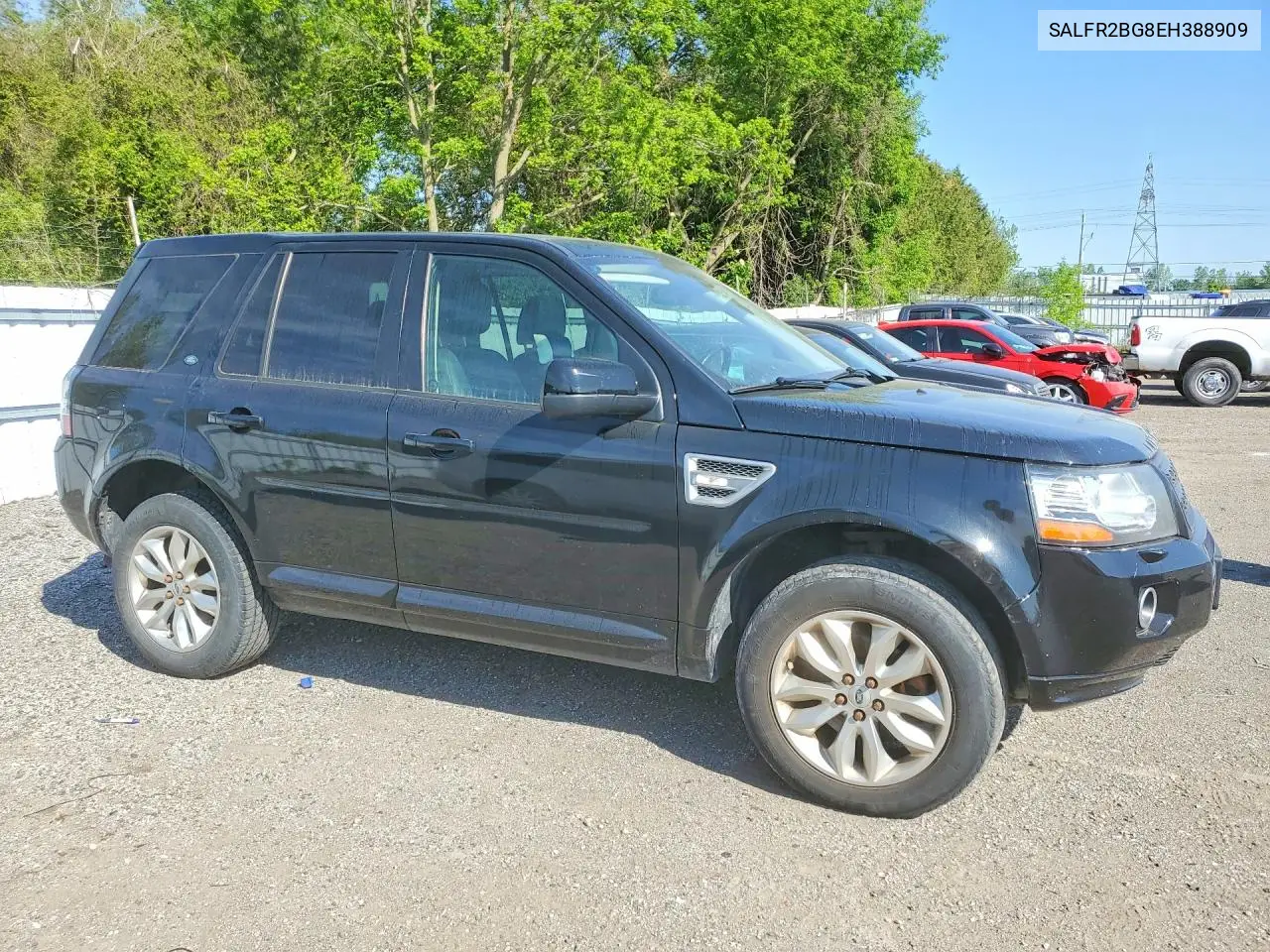 2014 Land Rover Lr2 Hse VIN: SALFR2BG8EH388909 Lot: 55256776