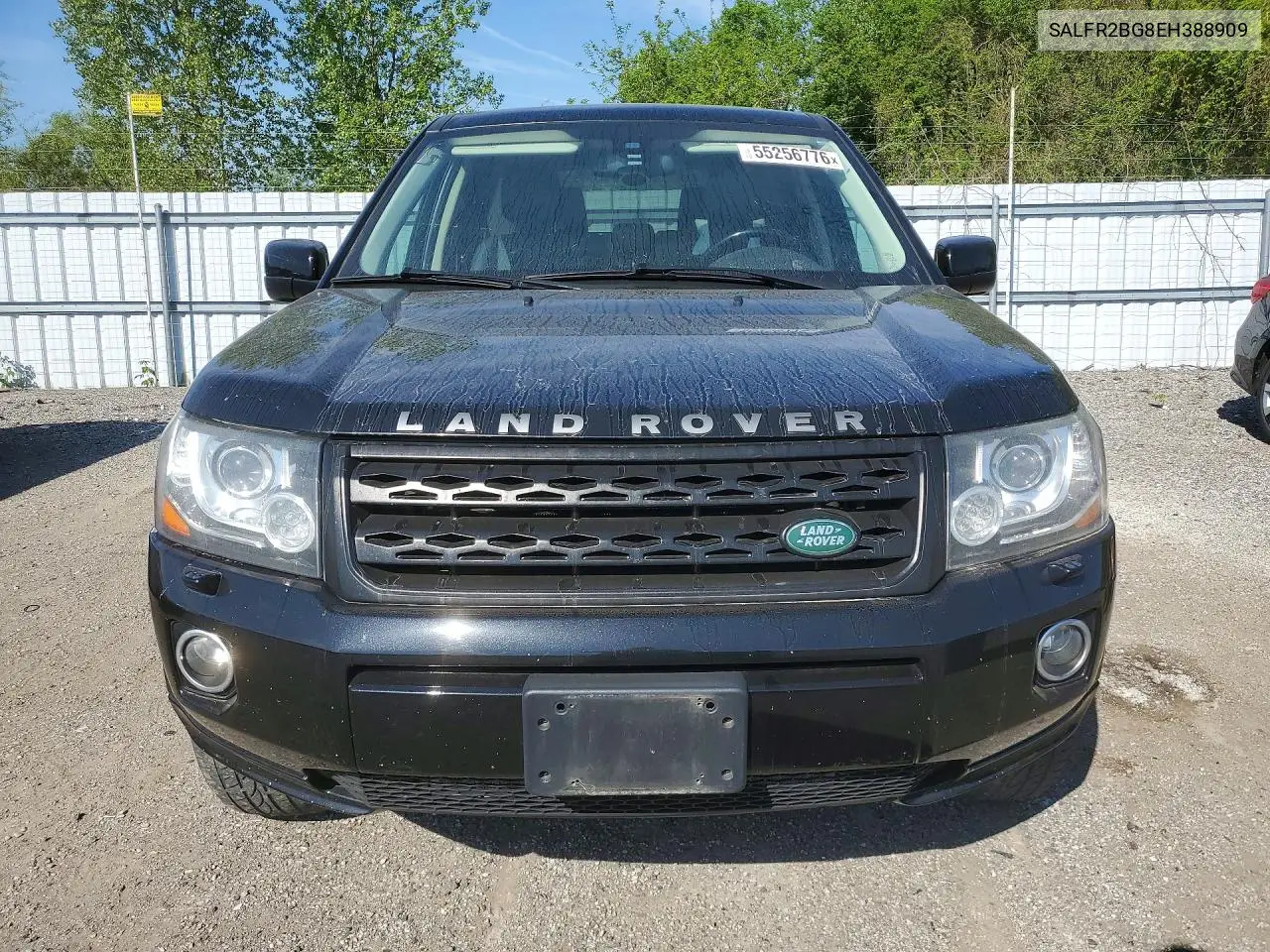 2014 Land Rover Lr2 Hse VIN: SALFR2BG8EH388909 Lot: 55256776