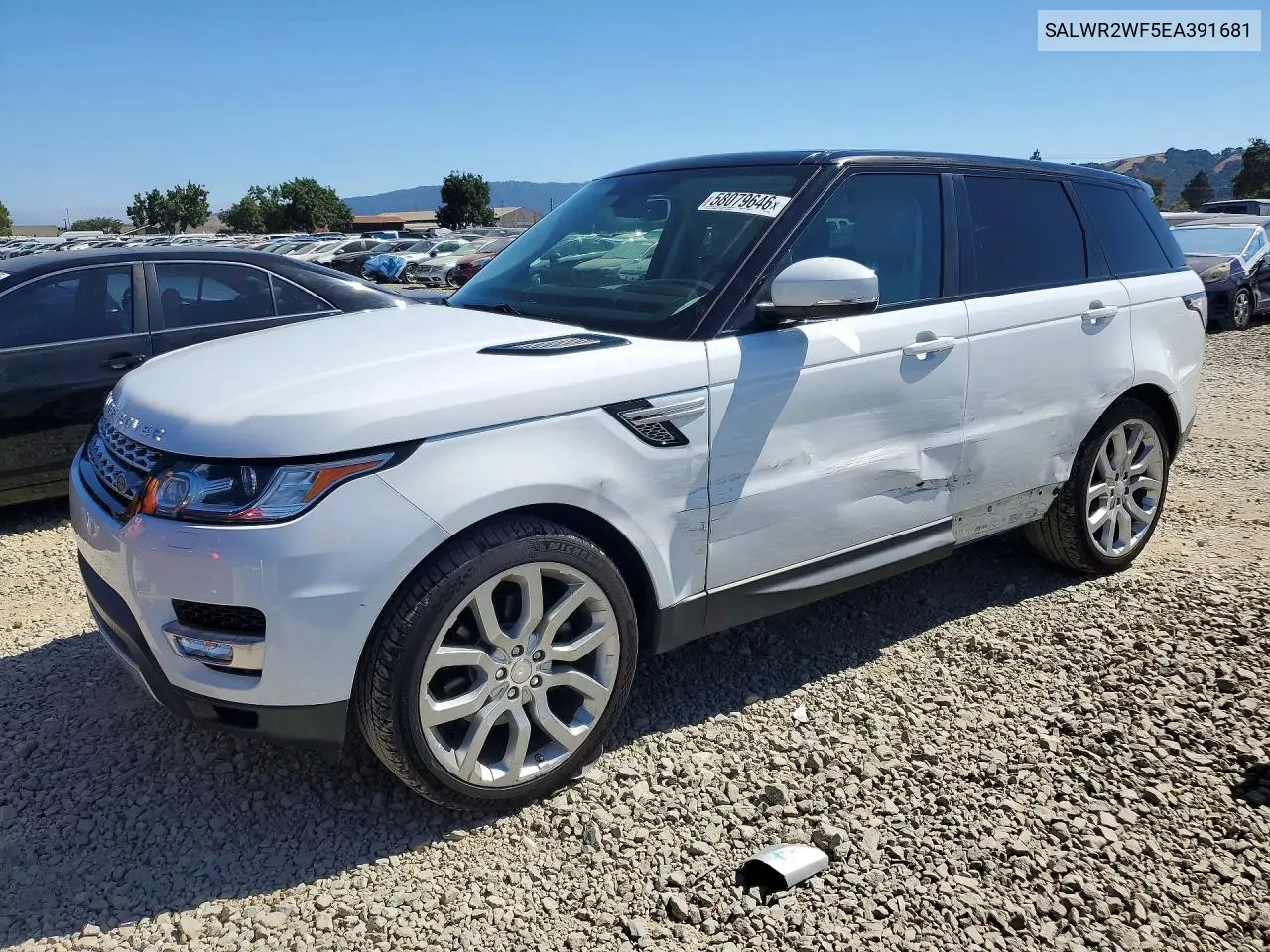 2014 Land Rover Range Rover Sport Hse VIN: SALWR2WF5EA391681 Lot: 58079646