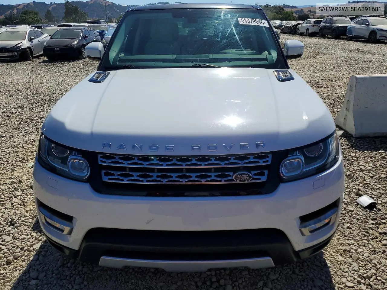 2014 Land Rover Range Rover Sport Hse VIN: SALWR2WF5EA391681 Lot: 58079646